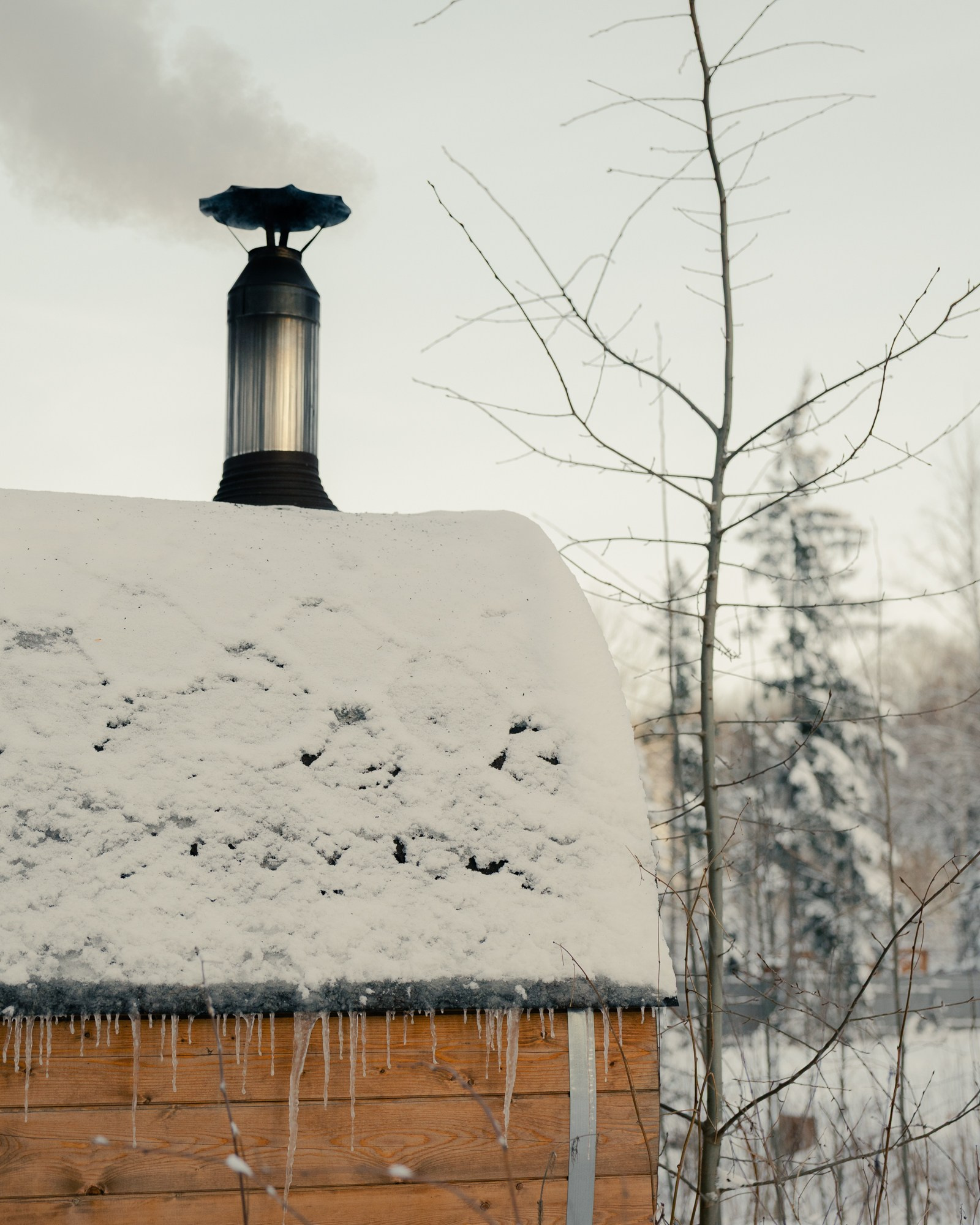 Hytte glamping. Фотограф Павел Краснов
