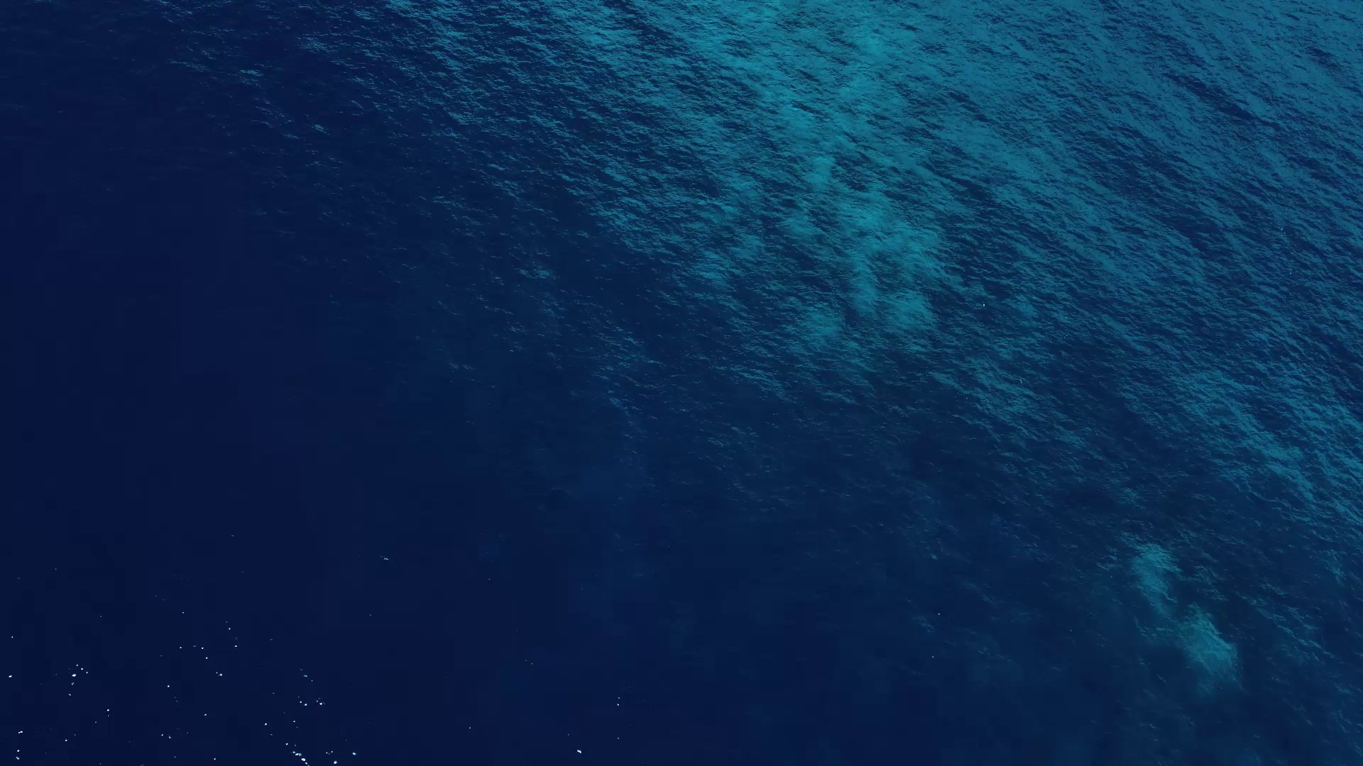 Корпоративы. Свадебный и репортажный видеограф Ксения Перегрин|Пятигорск, Кисловодск, Ессентуки, Железноводск