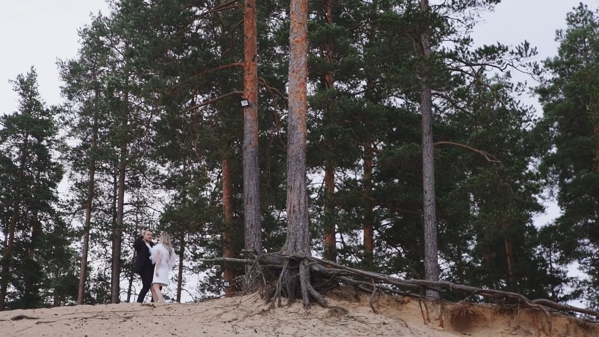 Фильмы. Видеограф Каменецкий Константин