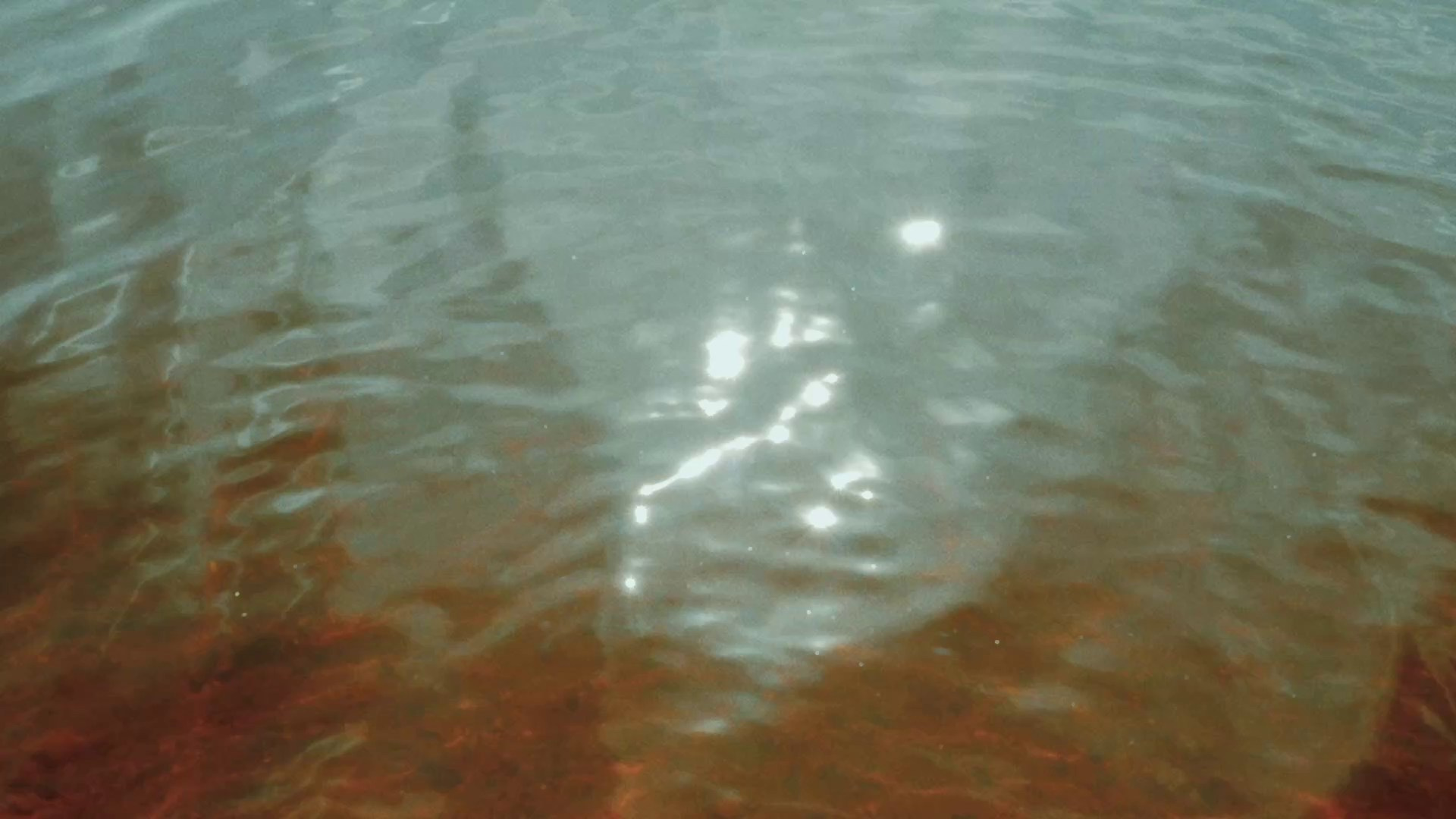 Linnunrata