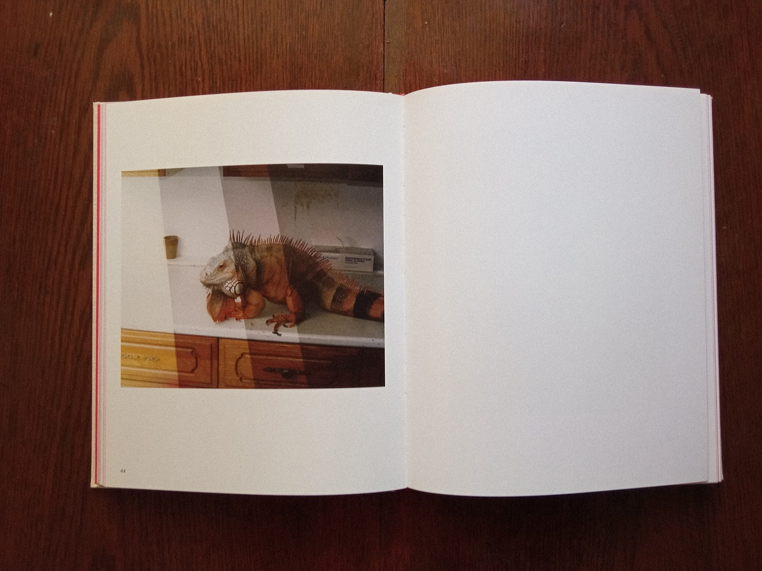 Книга «A perfect sentence» Оливера Чанарина. Private image