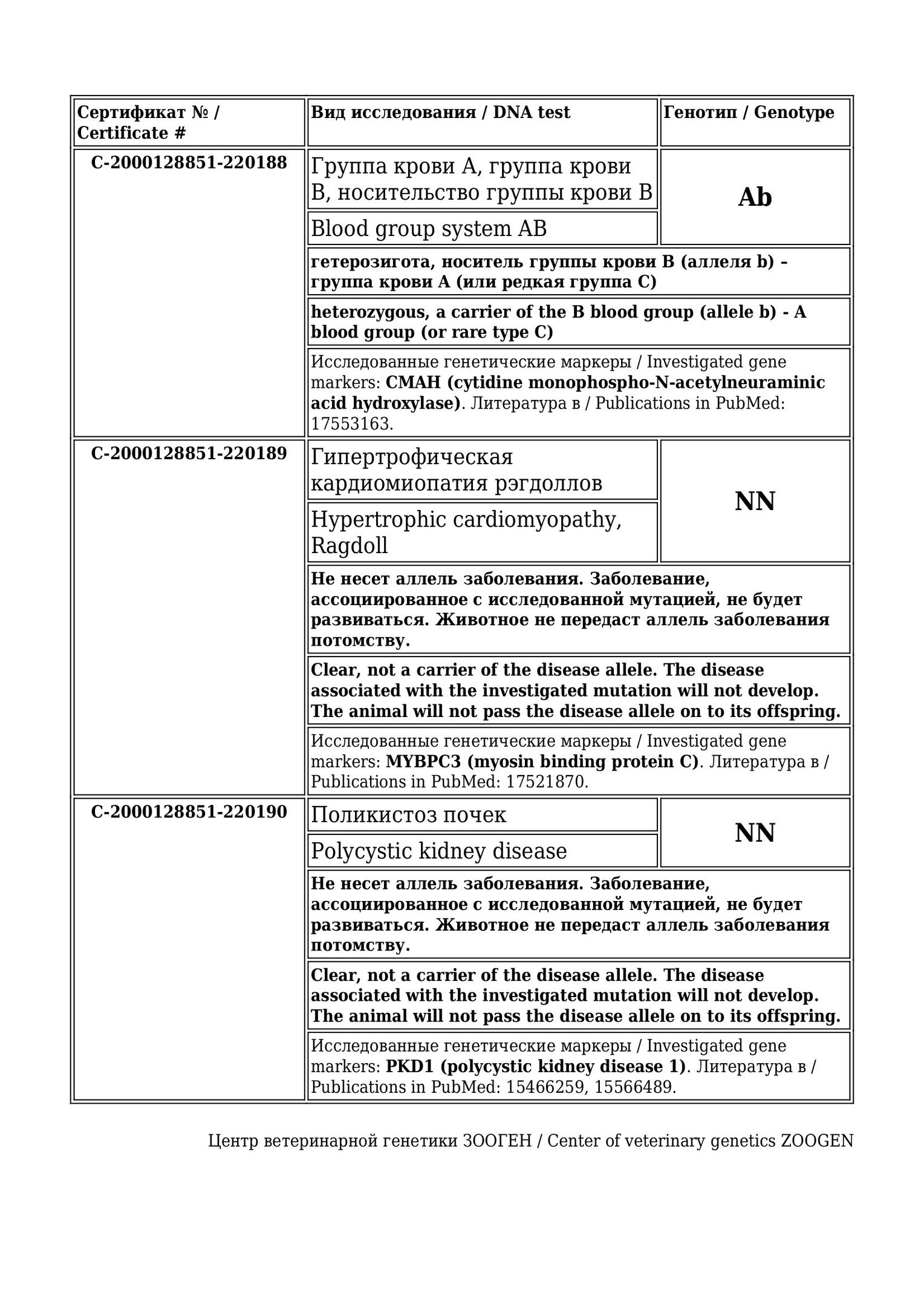 Документы производителей Loyal Adore. Питомник рэгдолл Loyal Adore