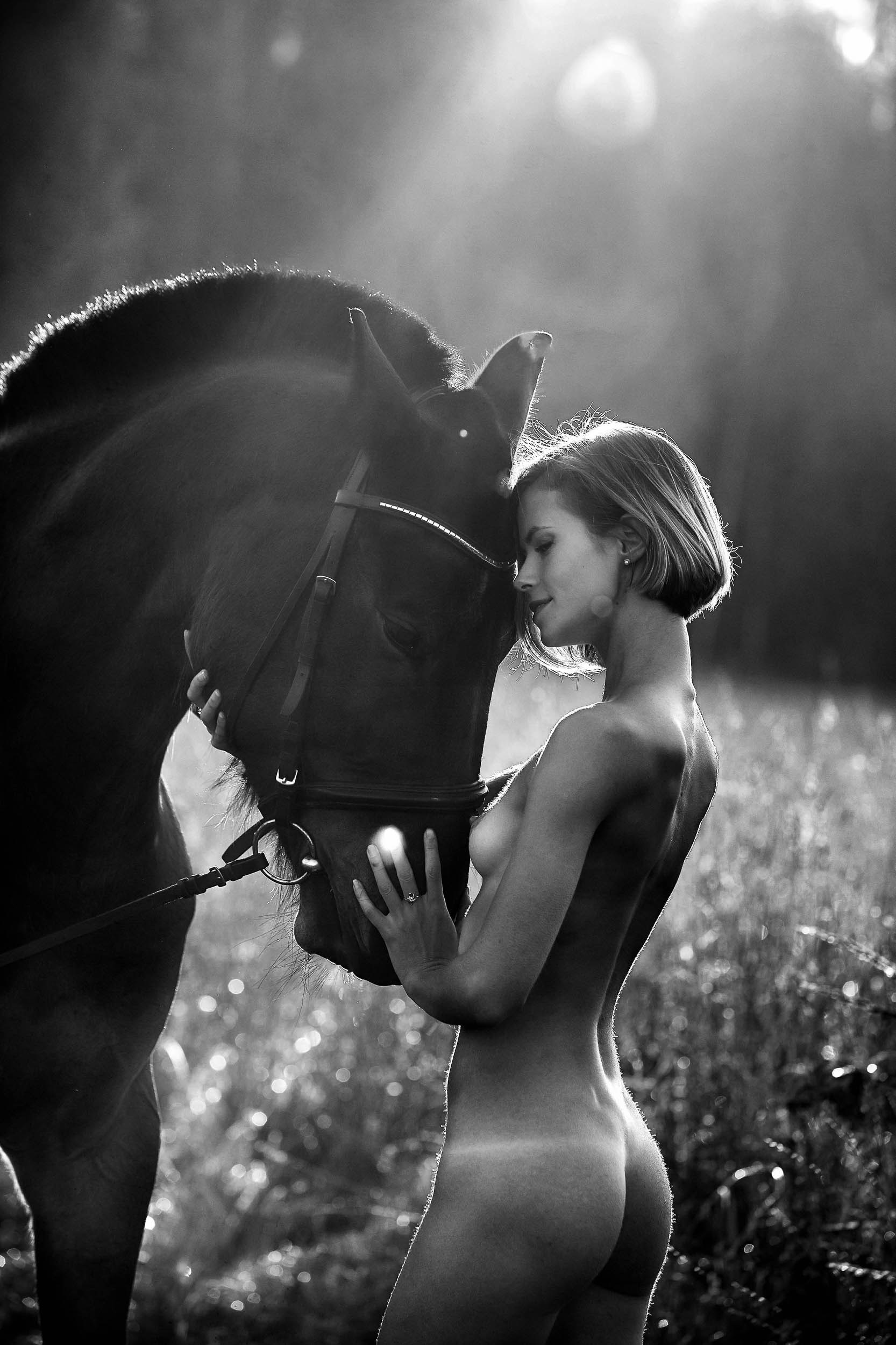 Фотопроекты и съемки на природе, с лошадьми, самолетами и авто. Выездная фотосессия. Фотограф, фотопроекты Михаила Семенова в Ярославле. Фотошкола