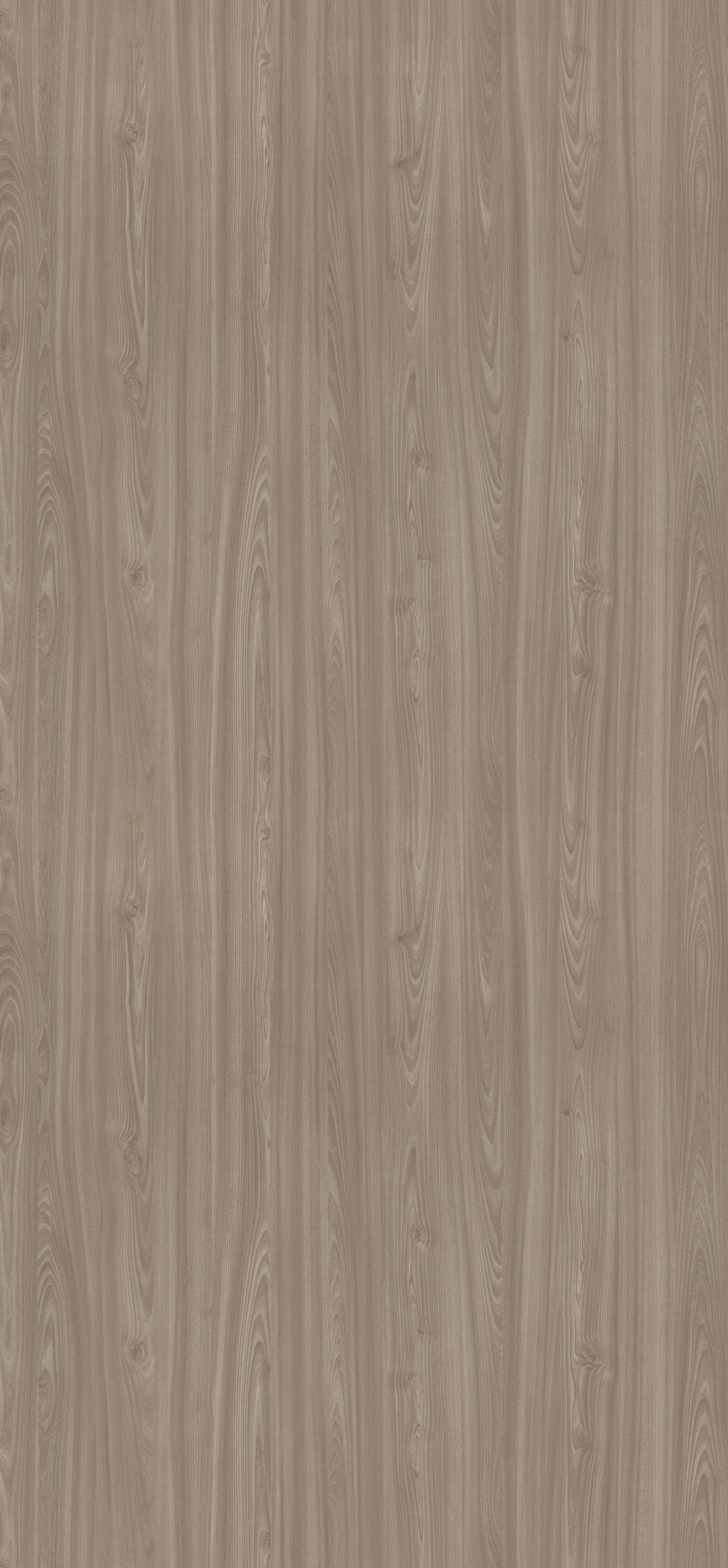 EGGER. Главная