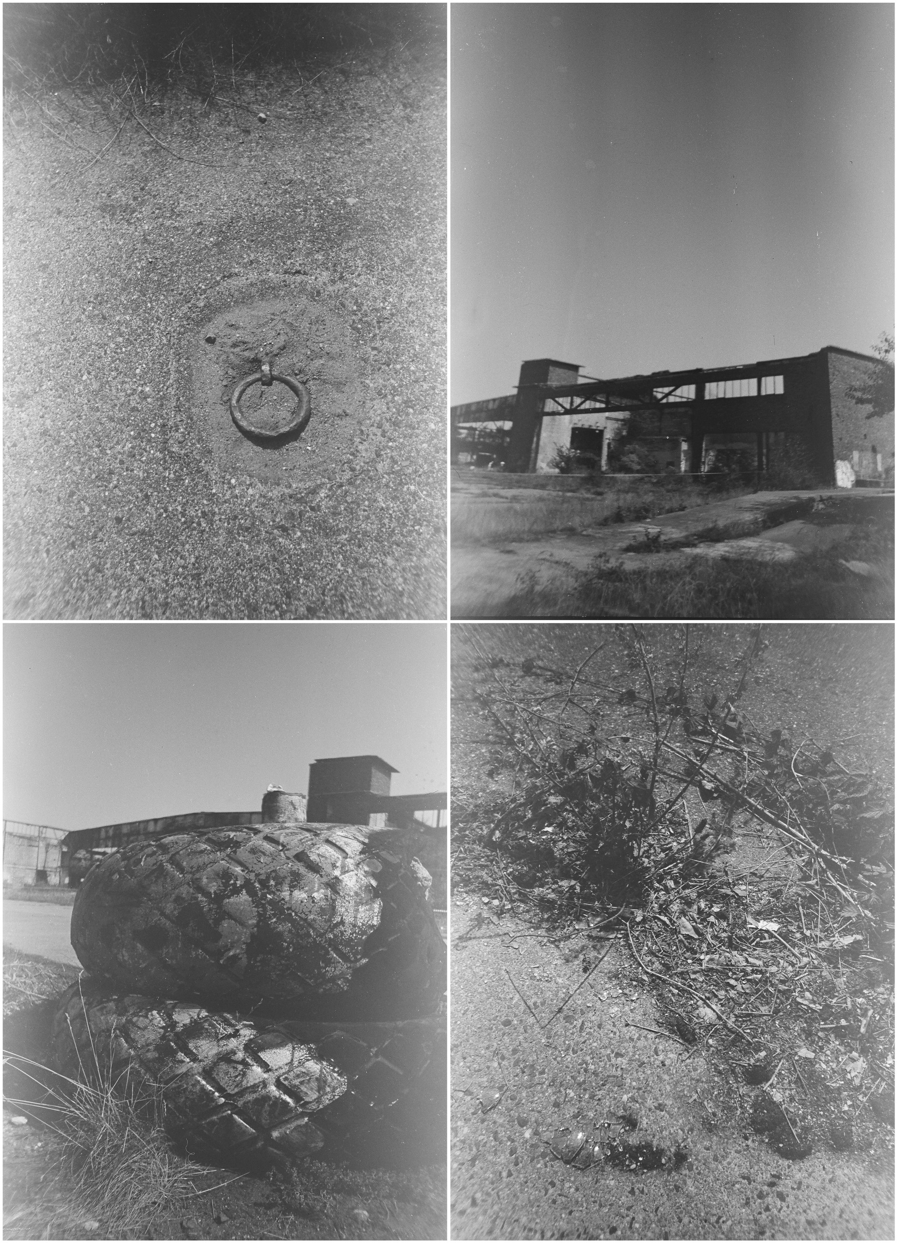 The ugly mermaid (2020 — in progress). Julia Gorbunova