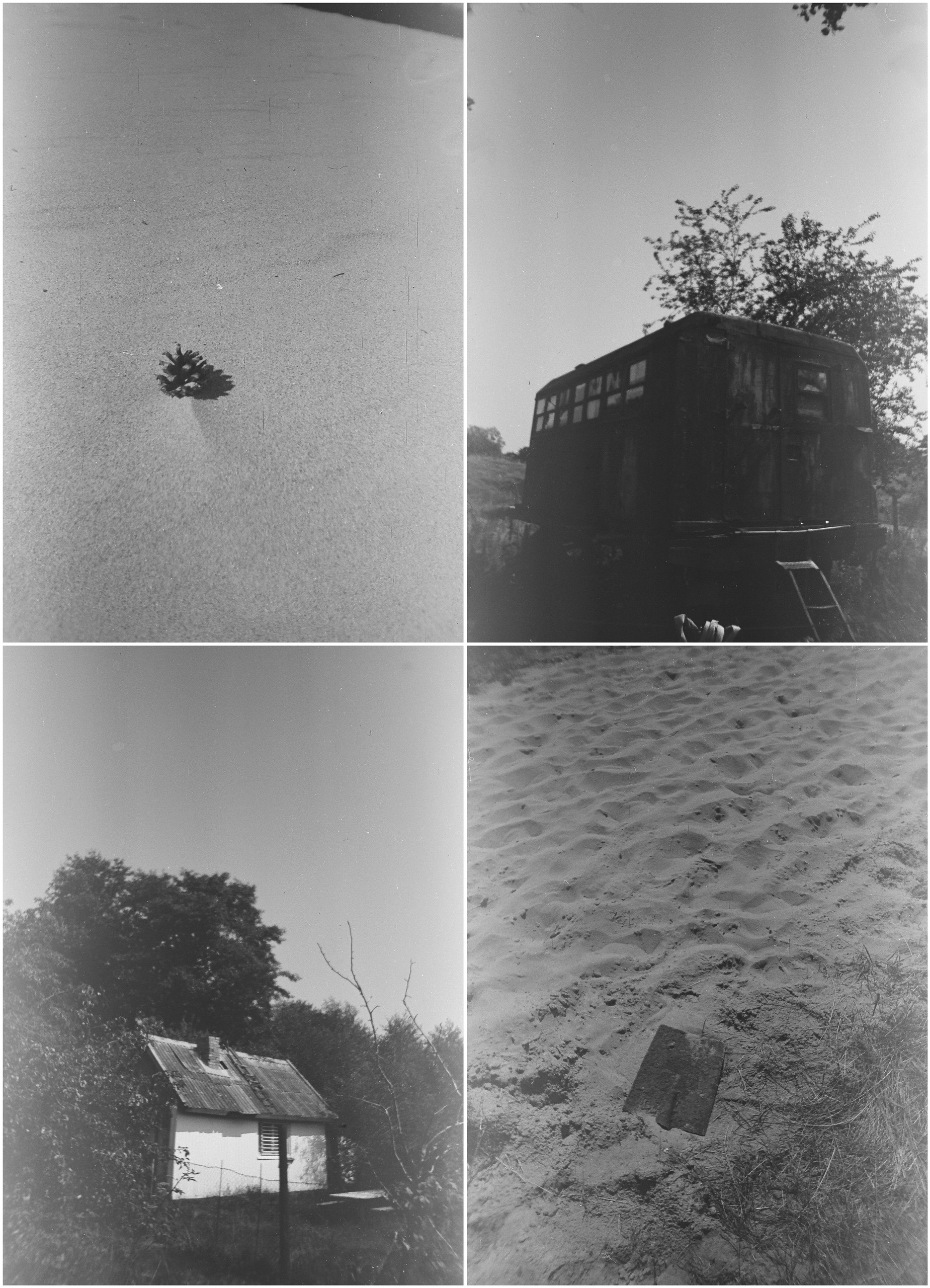 The ugly mermaid (2020 — in progress). Julia Gorbunova