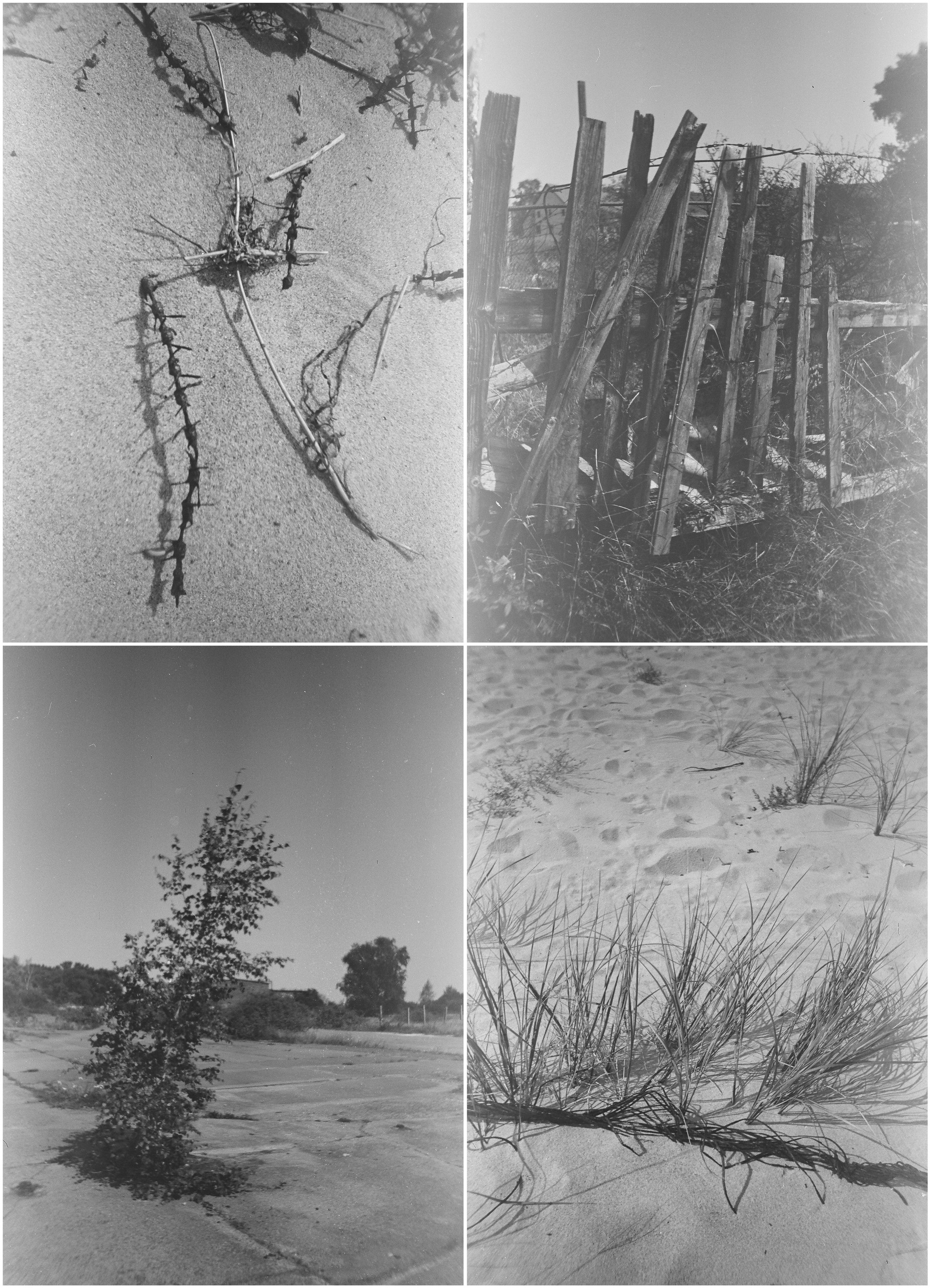 The ugly mermaid (2020 — in progress). Julia Gorbunova