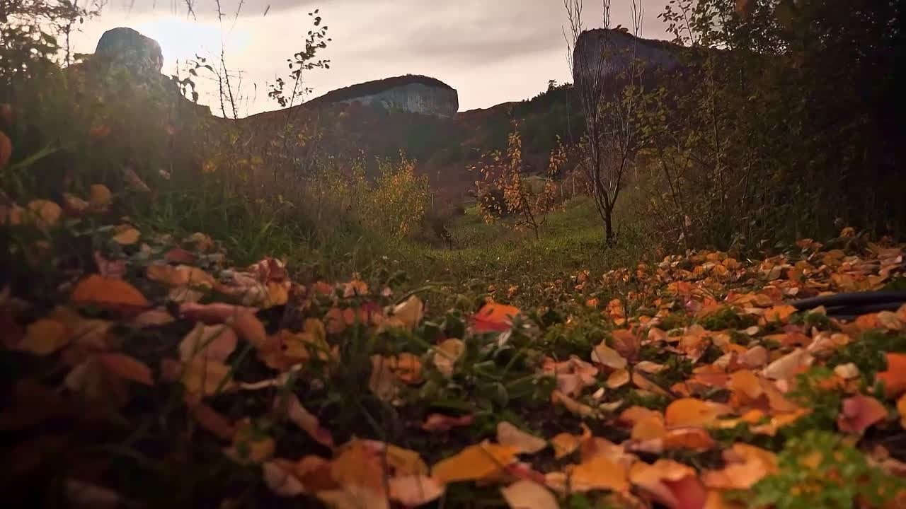 Видеосьемка. Фотограф - видеограф Екатерина Серова