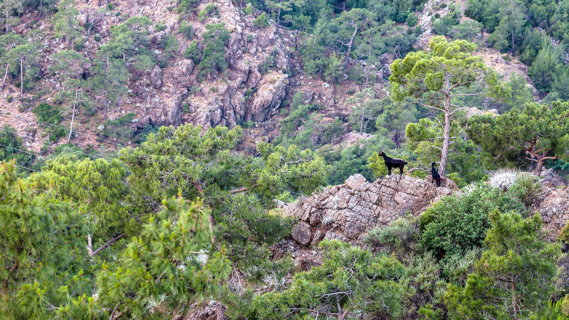 Фотограф Иван Губанов