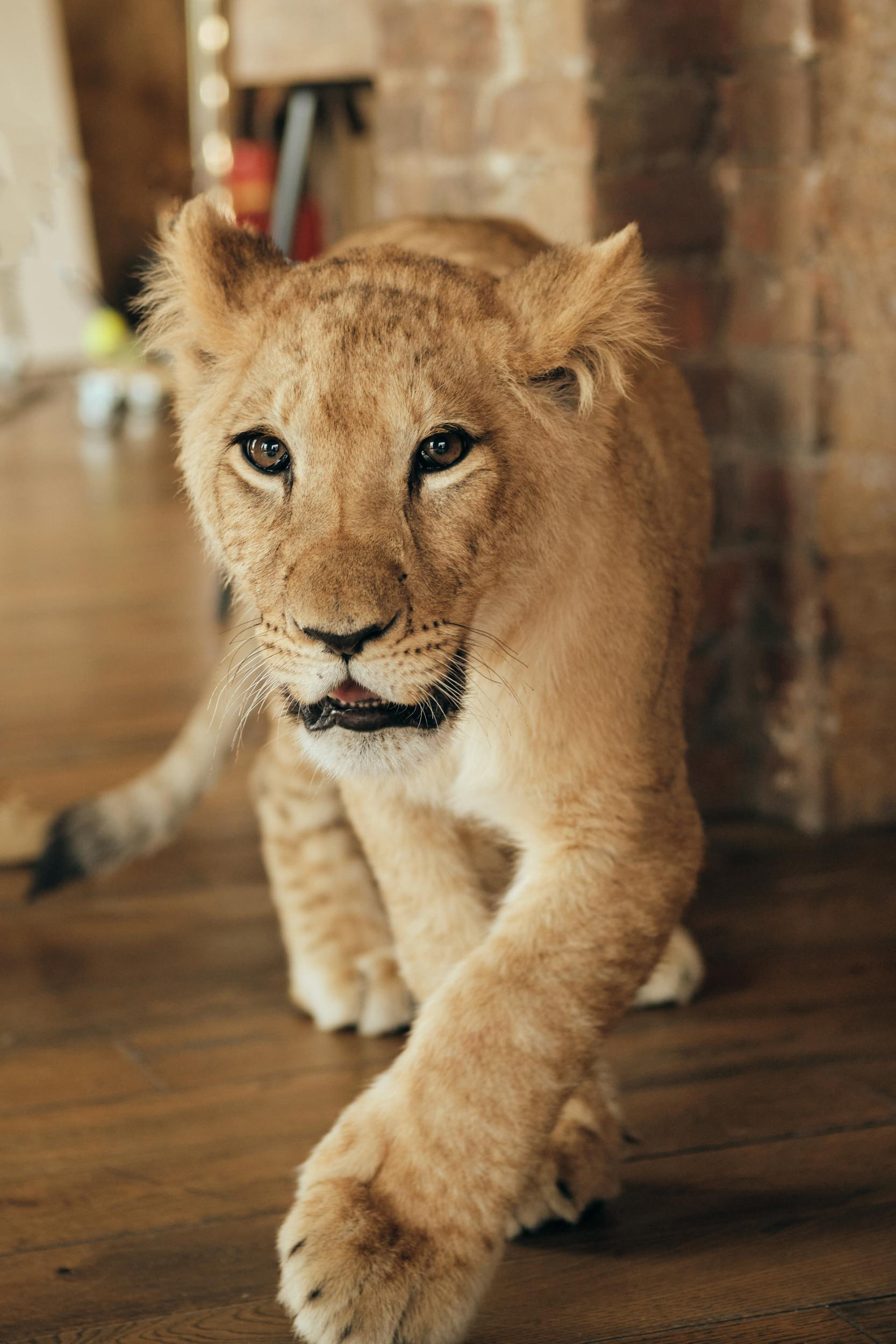 Фотограф в Москве — Галунина Кристина