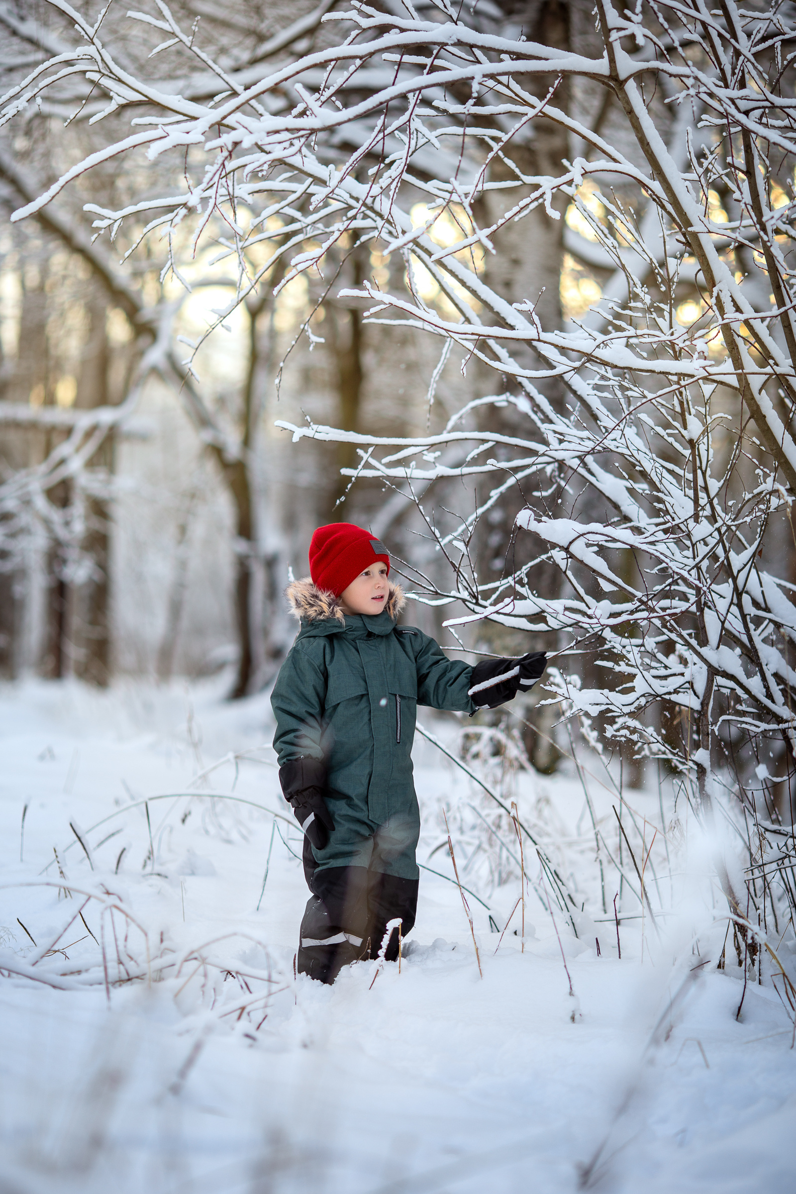 Главная. Детский и семейный фотограф Алиса Хмелева г. Апатиты