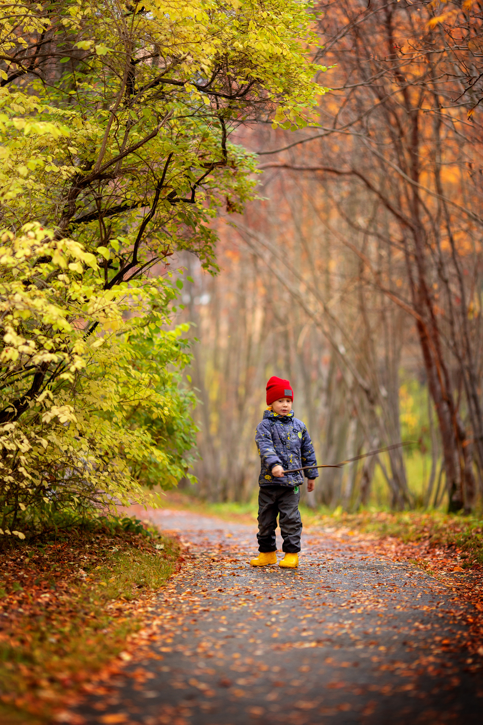 Главная. Детский и семейный фотограф Алиса Хмелева г. Апатиты