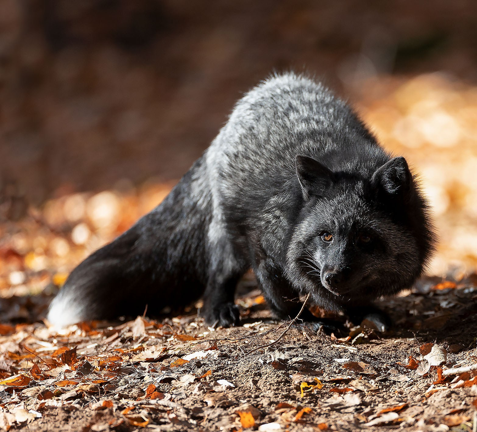 Детский и семейный фотограф в Москве Юлия Стукалова