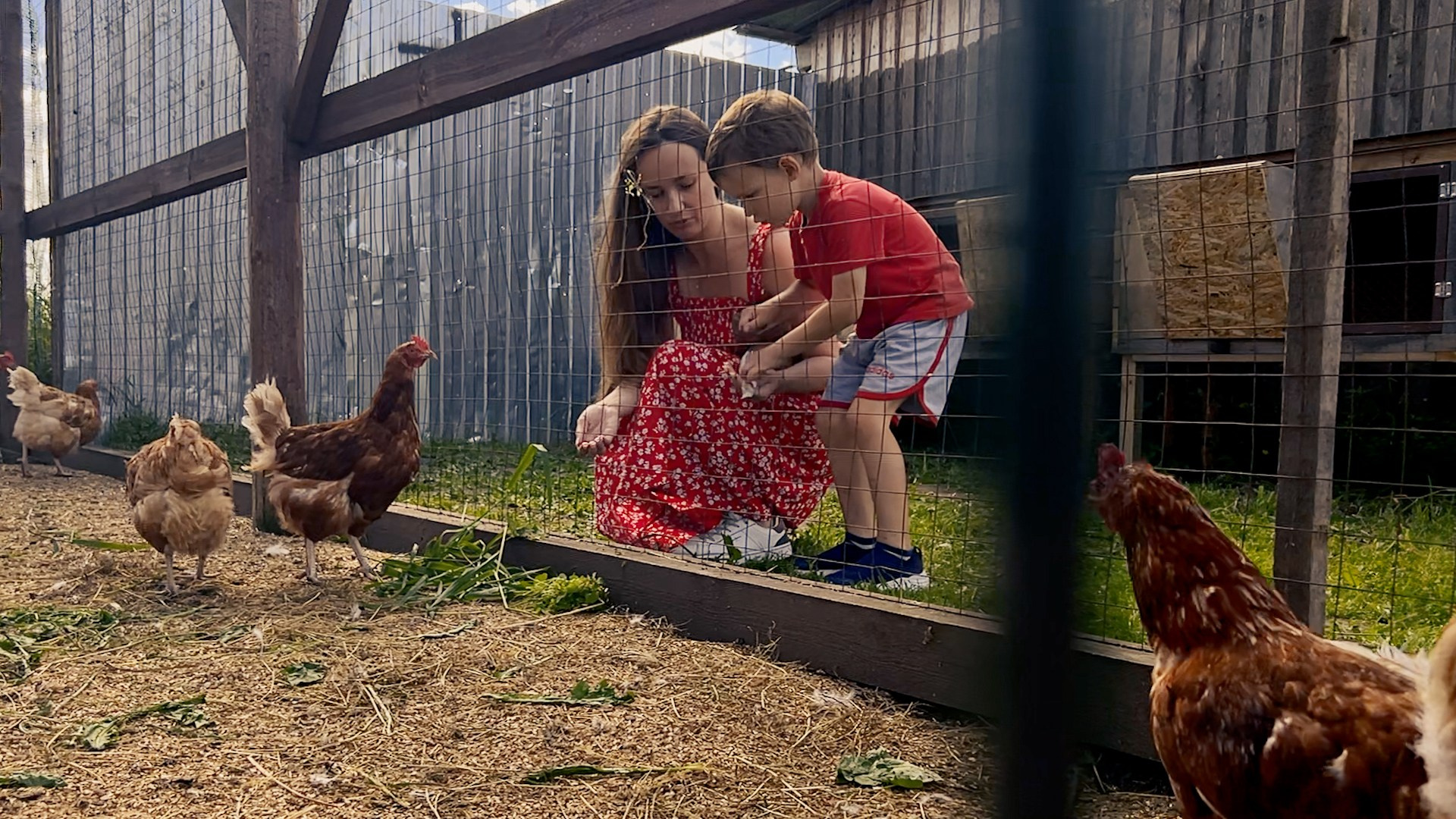 Видеограф в Архангельске Елена Курбатова