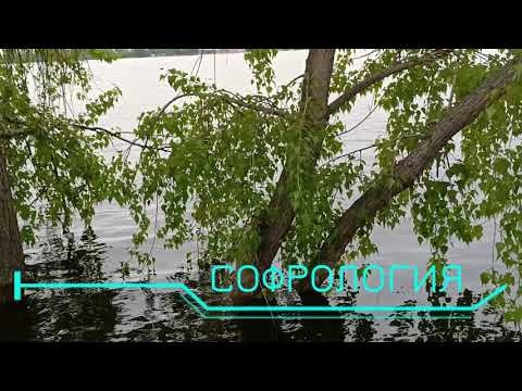 Софрология. Марина Рыбкина — Глубинная психология