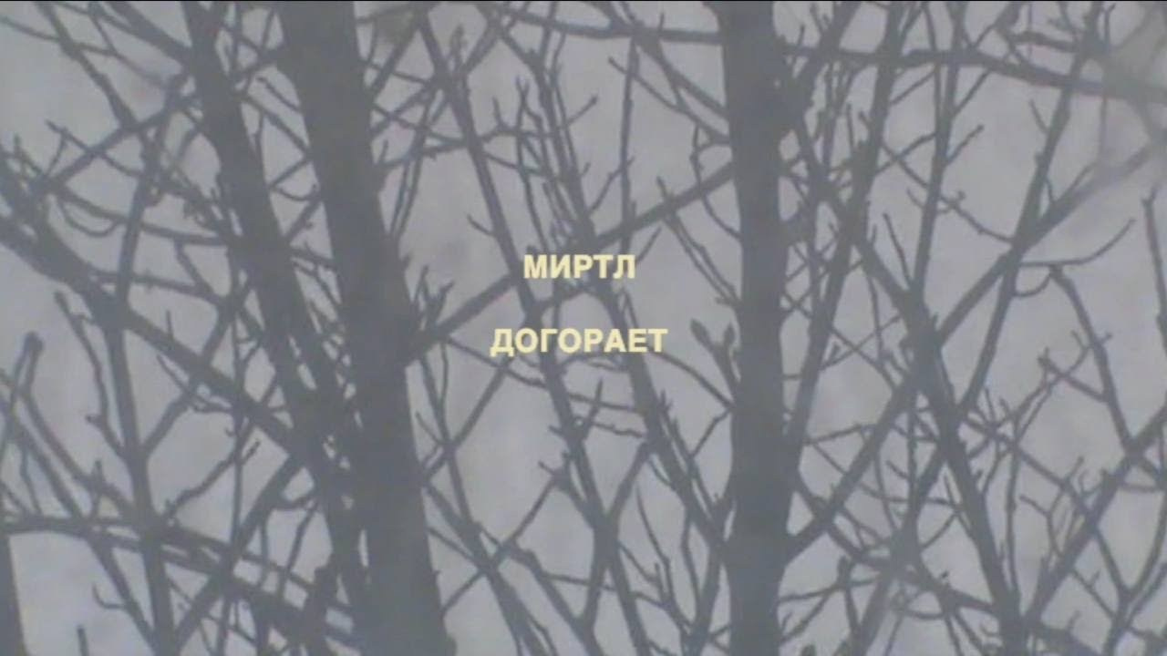 Видео. Аня белка — художница и фотограф