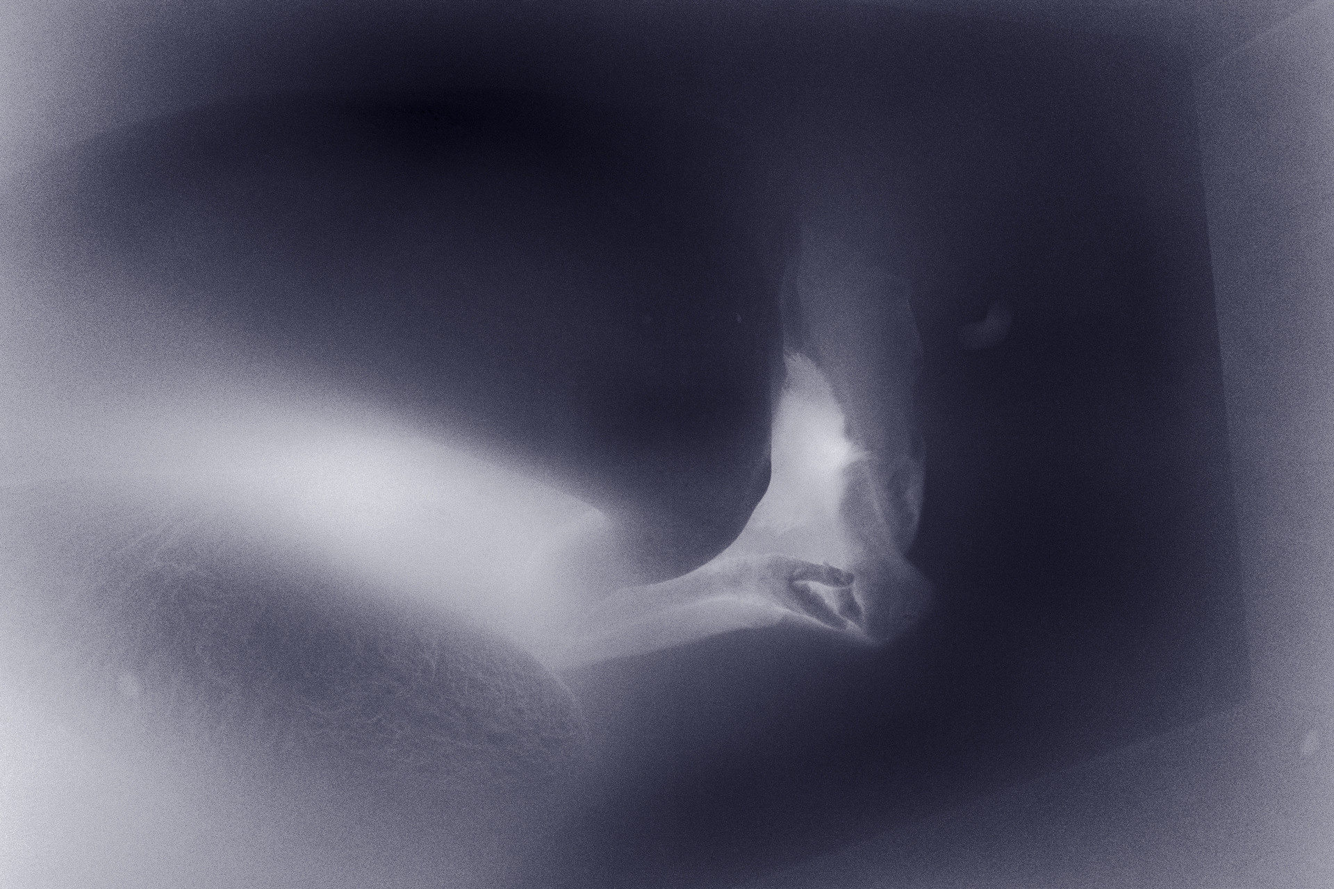 Bodynegative. Photographer Bulat Sabitov