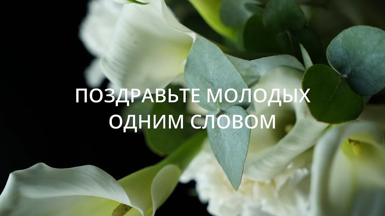 Видеограф. «Два сердца» видеограф и фотограф Сыктывкар