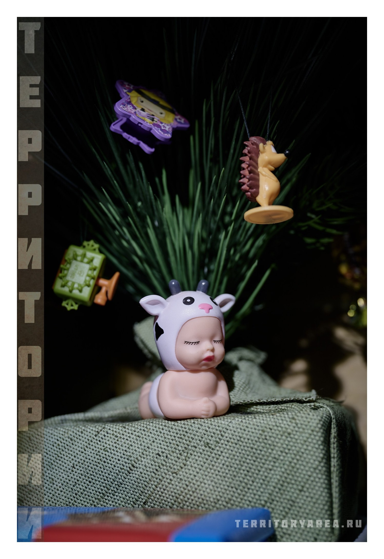 Фотопринты А3. Фотопроект «Территории»