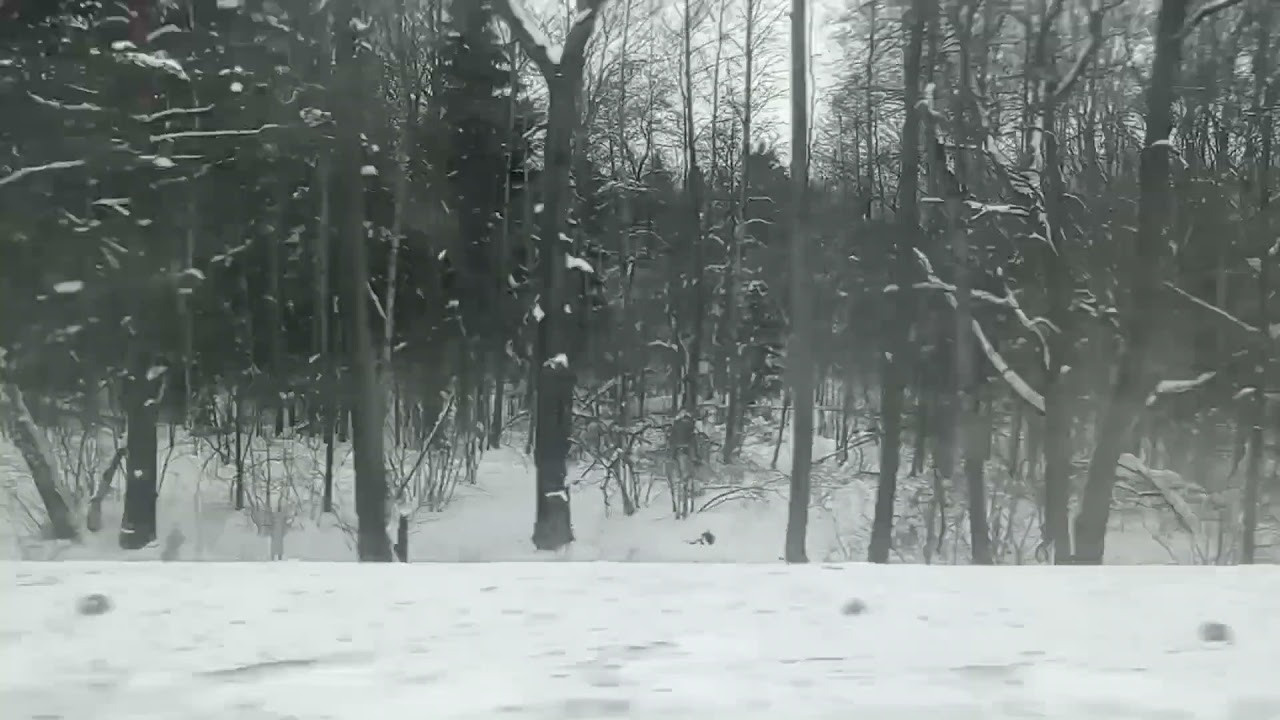 Flow — выставка одной работы 31.12 — 7.01.2022