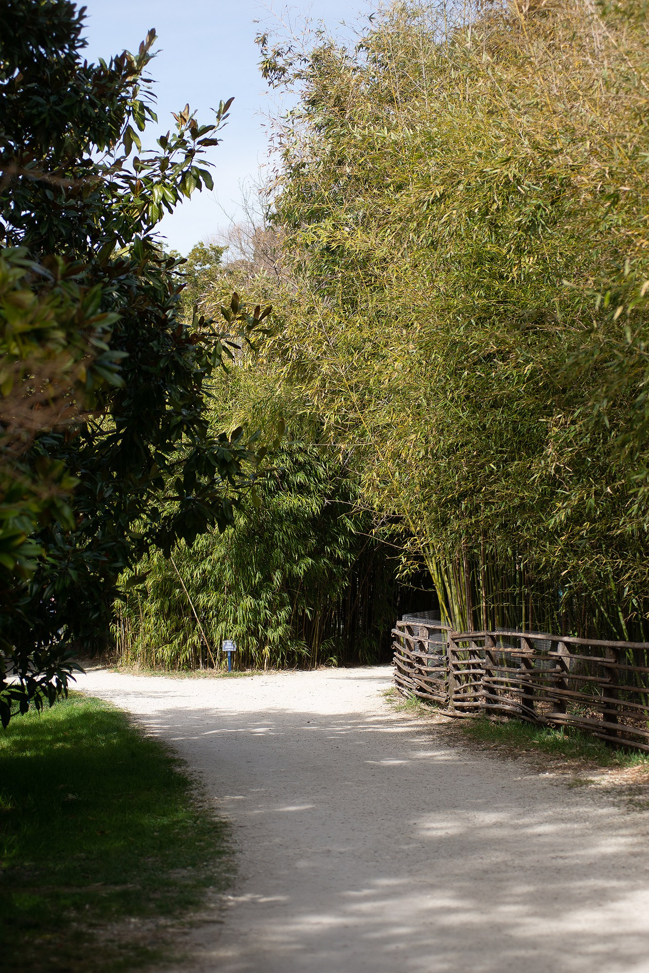 Парк в Адлере «Южные культуры». Фотограф в Адлере, Сириусе, Красной Поляне — лавстори, семейные и индивидуальные фотосессии