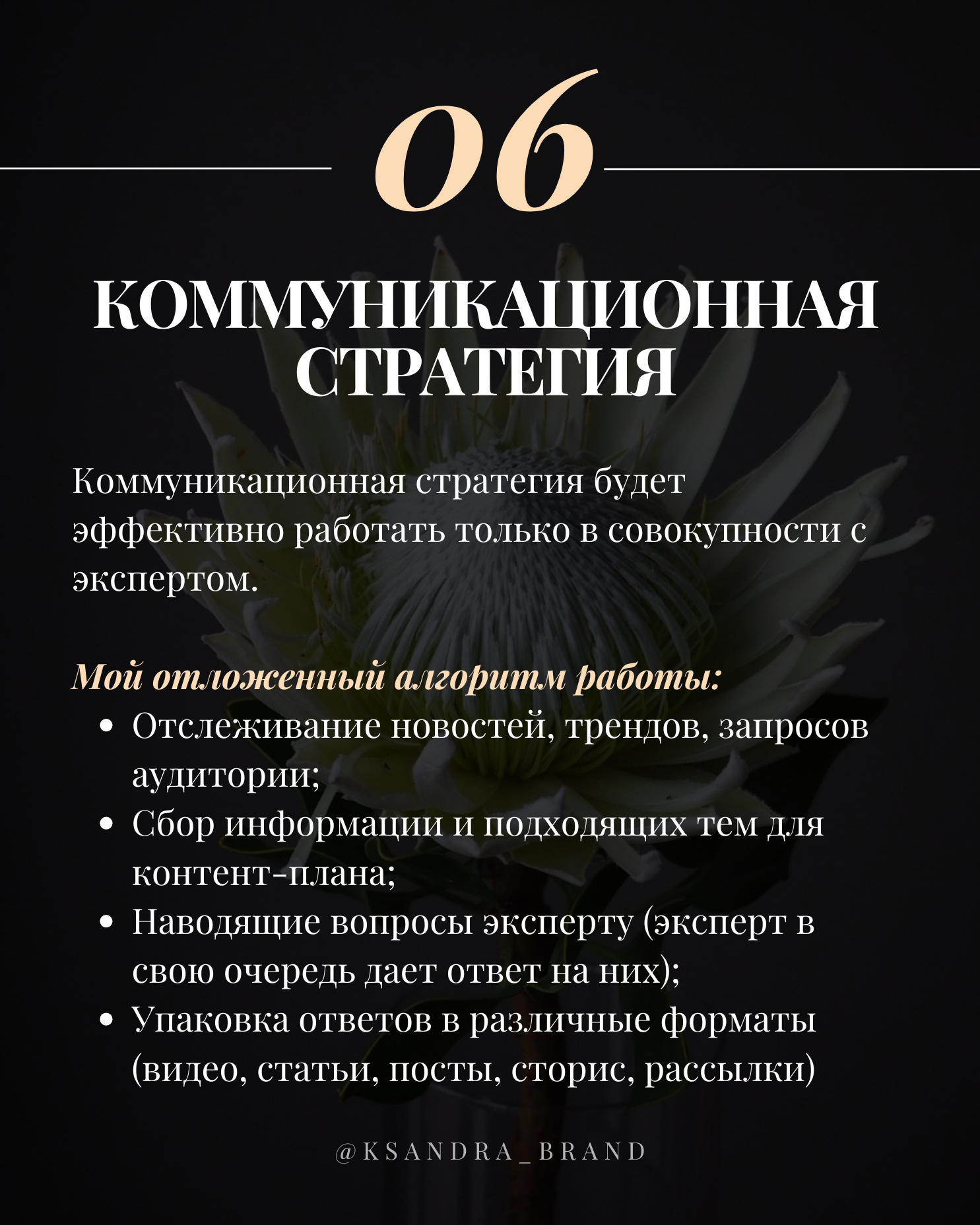 Практическое руководство: «Создание стратегии продвижения в соцсетях на 2025 год