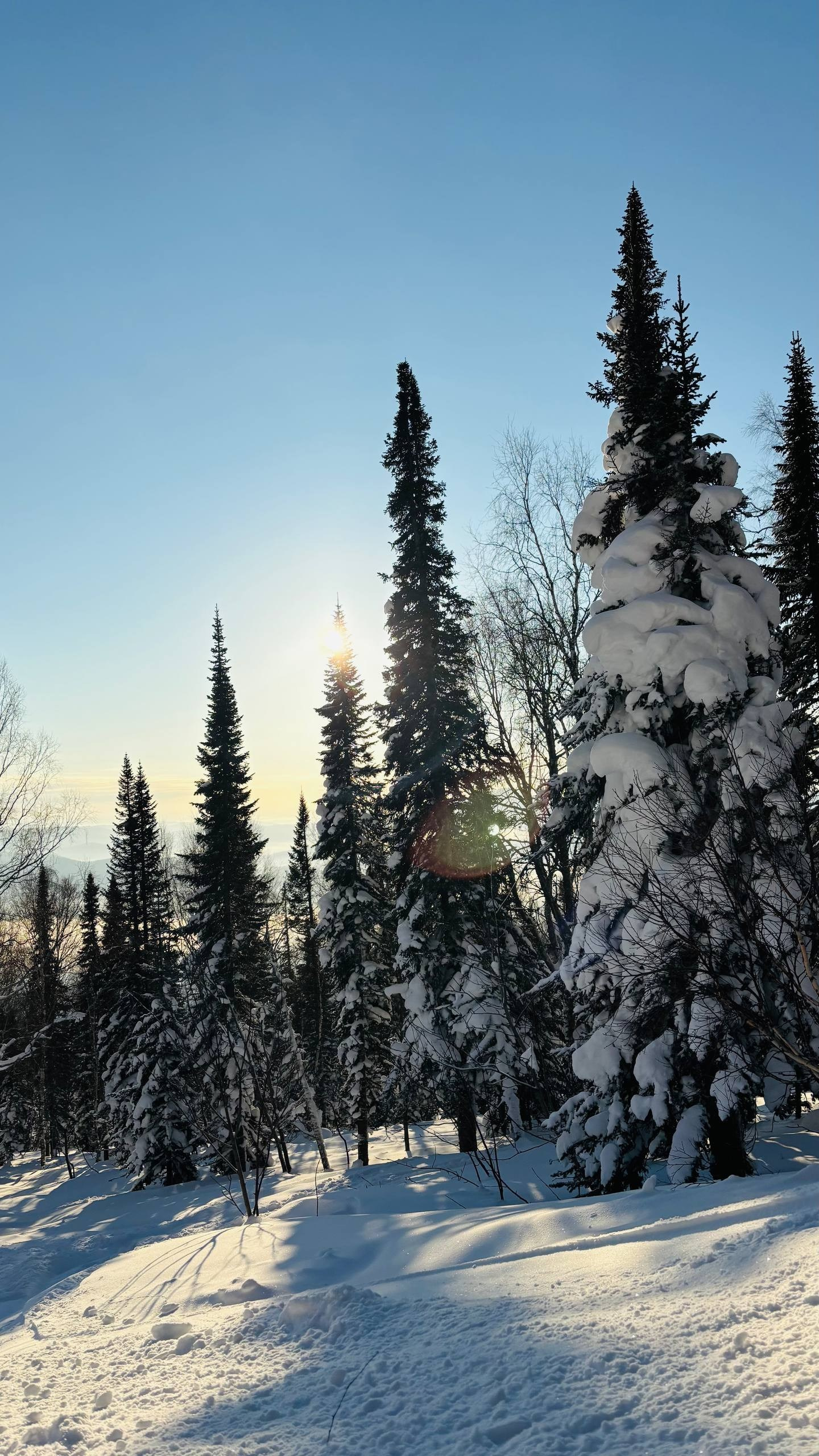 ШЕРЕГЕШ. Фотограф Наташа Лисица