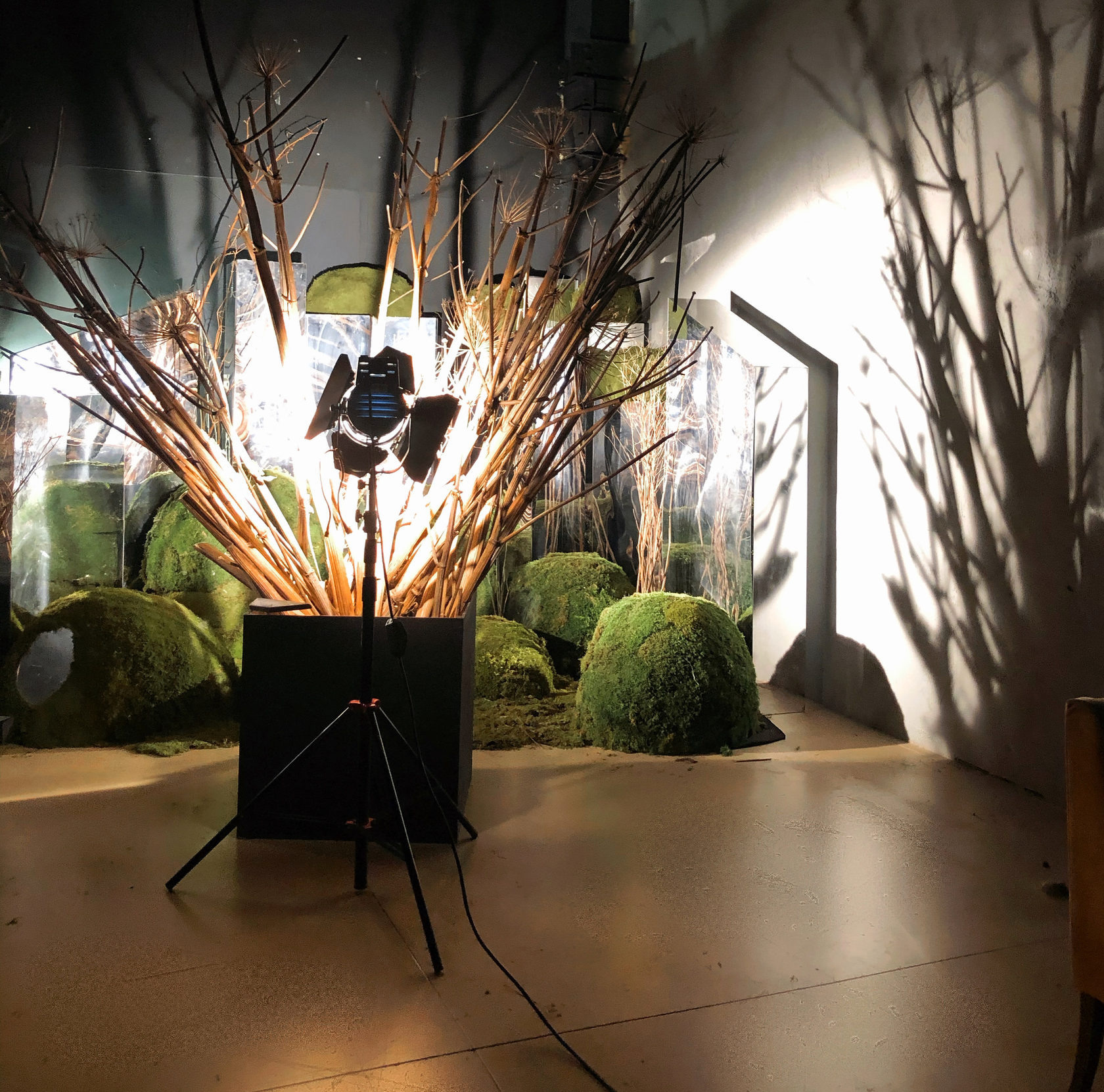 Фотостудии МОСКВЫ. Свадебный и семейный фотограф Виктория Носачёва. Щелково, Москва и МО