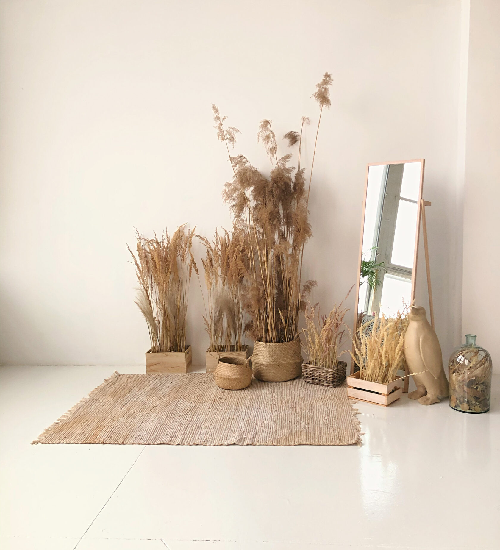 Фотостудии МОСКВЫ. Свадебный и семейный фотограф Виктория Носачёва. Щелково, Москва и МО