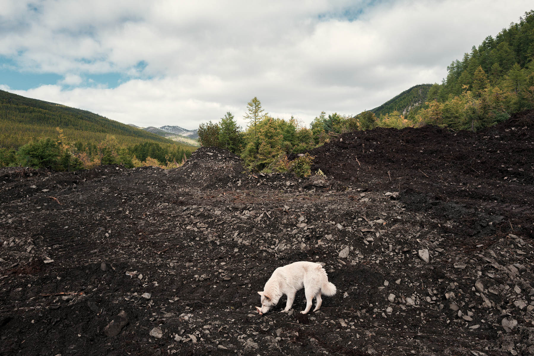 KOLYMA: IN THE SHADOW OF TIME. Emil Gataullin
