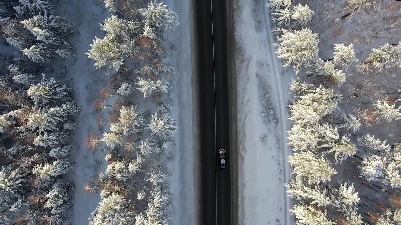 Видео. Фотограф Татьяна Борисова