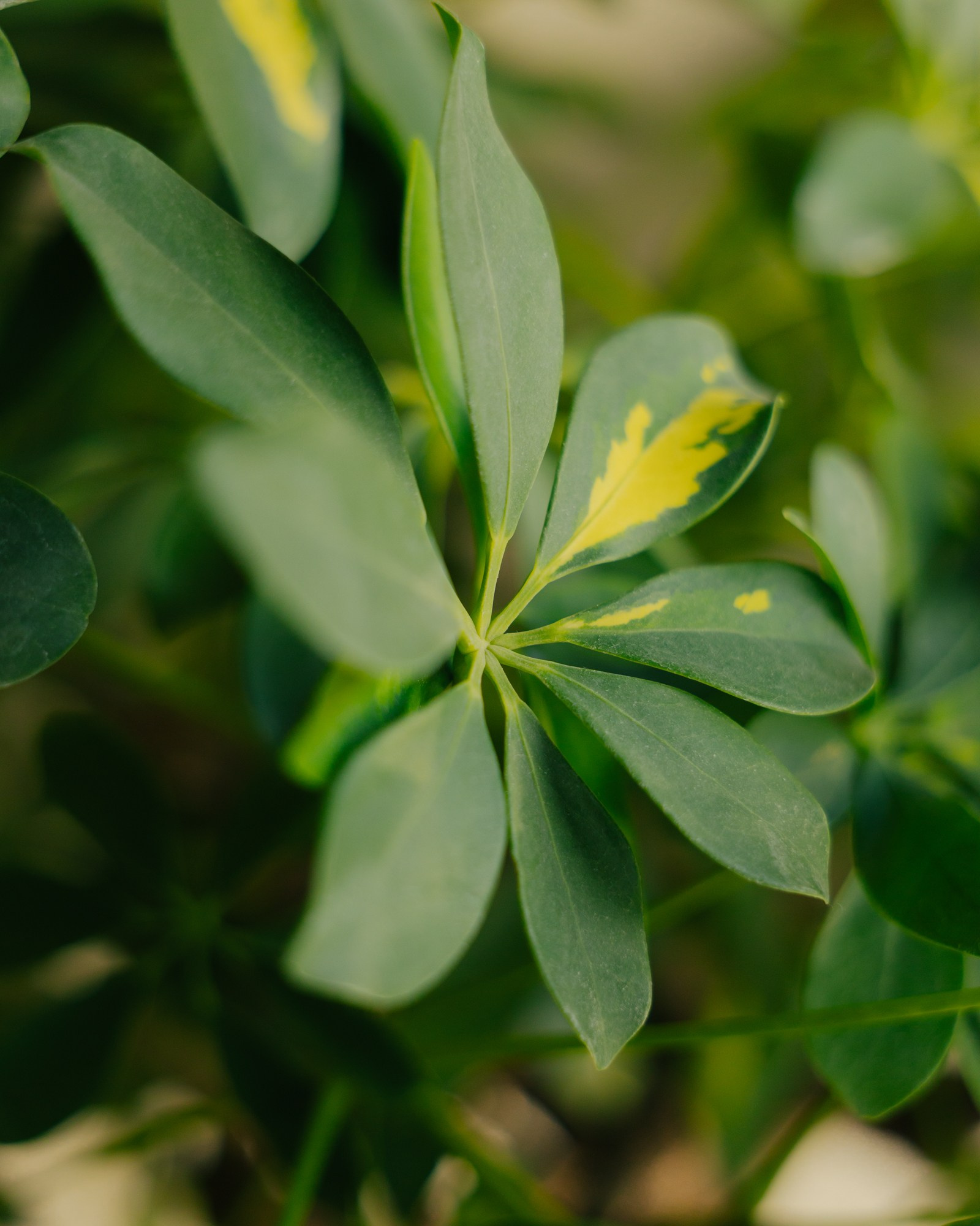 “More” Restaurant. Фотограф Павел Краснов