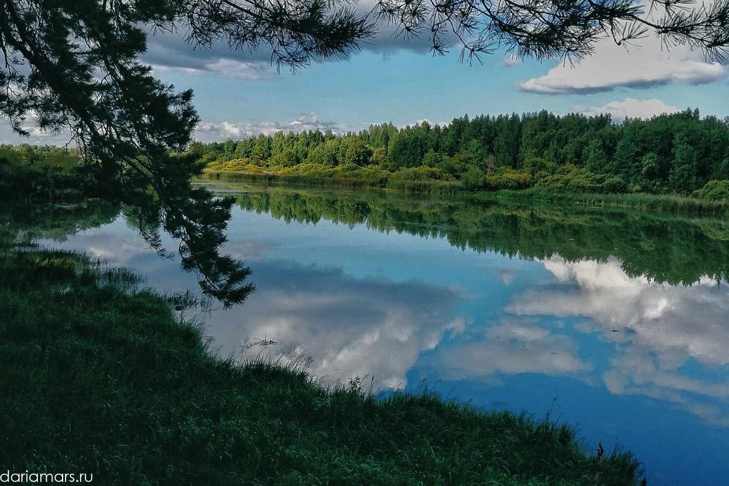 *Лучшие места для свадебной фотосессии в Тюмени | Дарья Мустафина