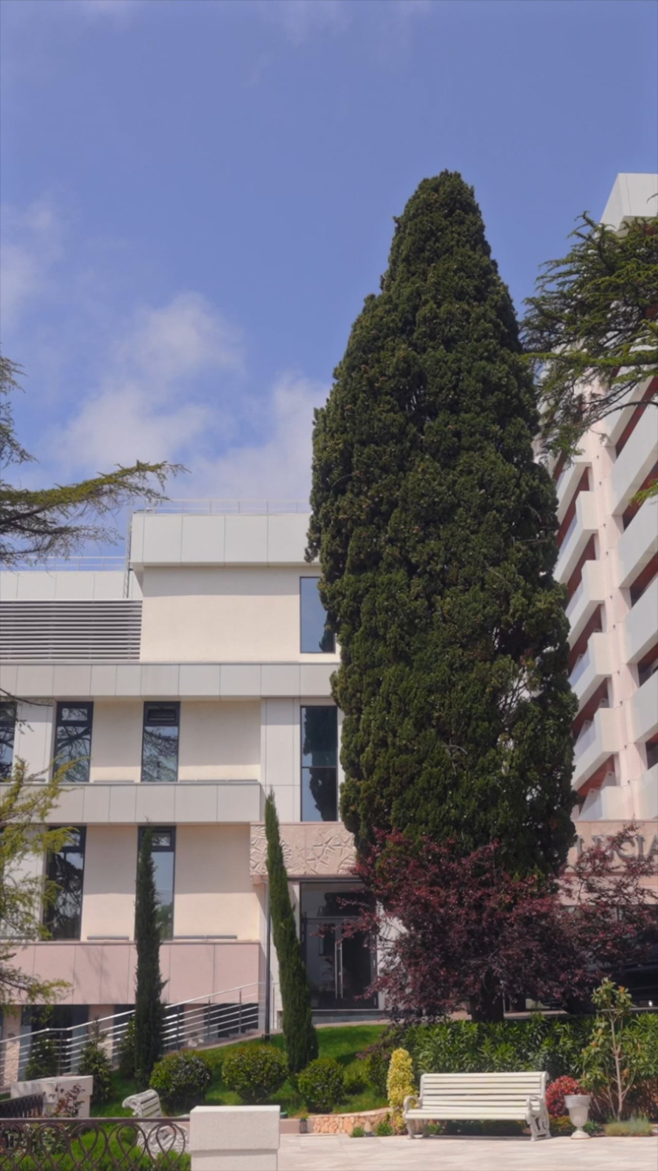 Денис и Владислава. Агата Акварель видеограф Сочи Краснодар