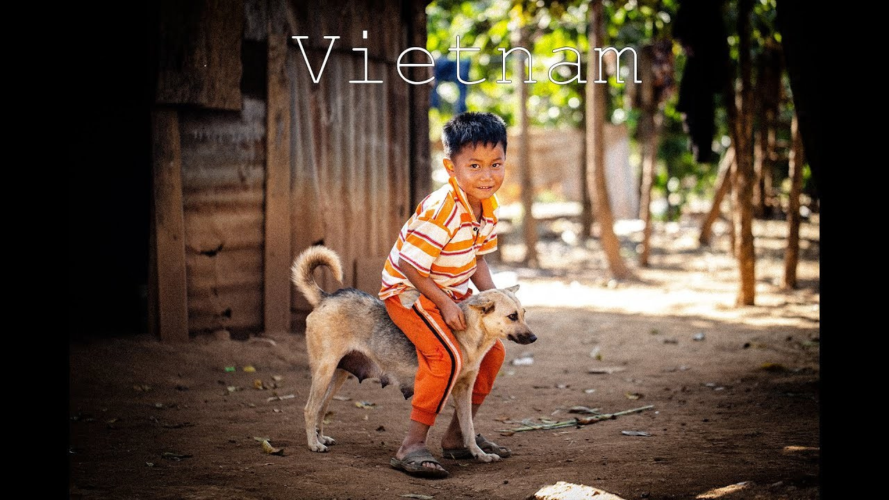 Video. Noam Paradise Photographer