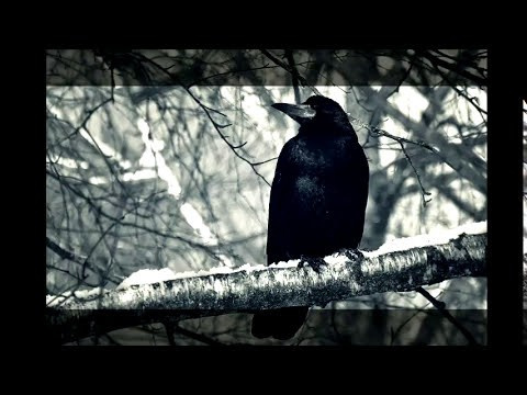 Вокально-хоровая. Екатерина Левченко — композитор, музыковед, преподаватель