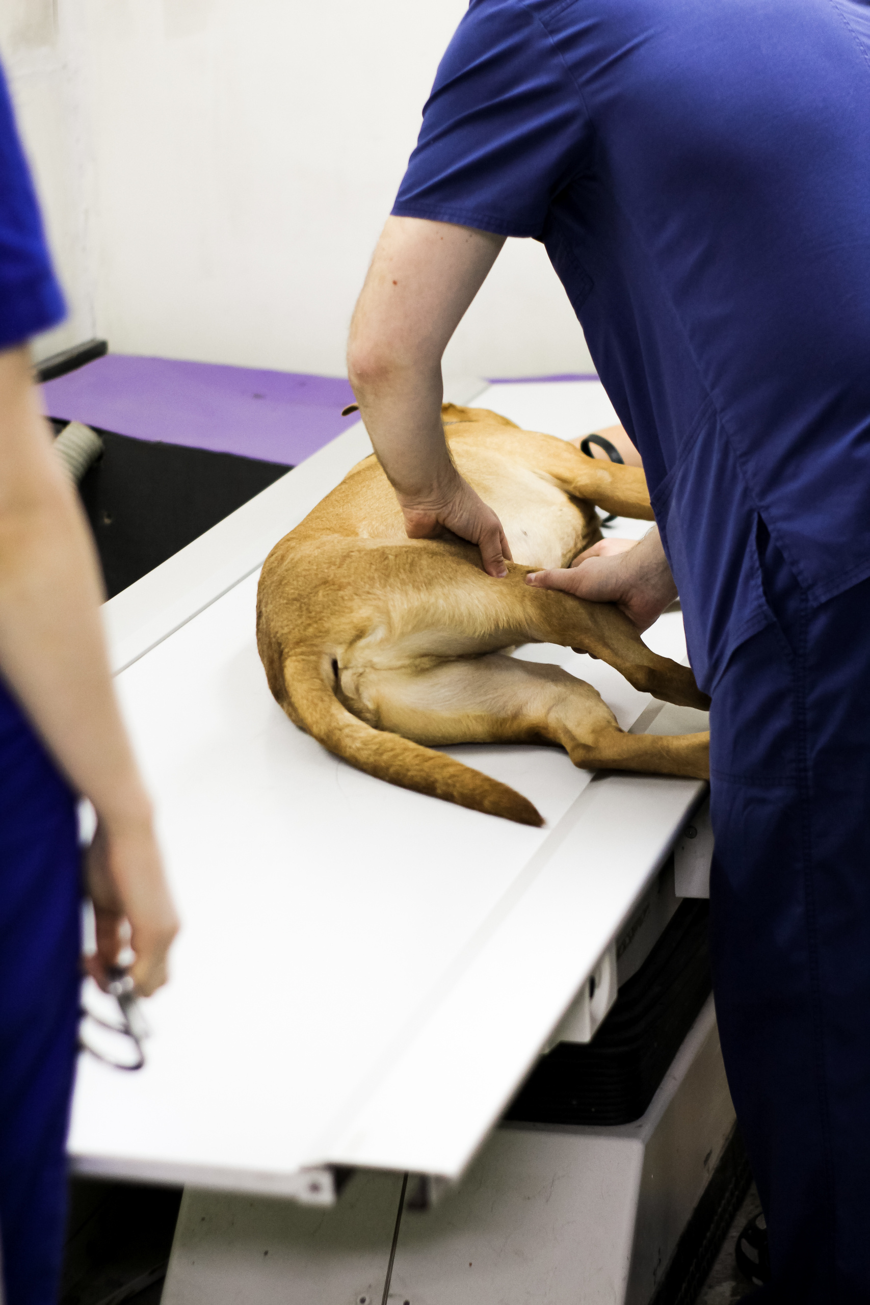 Визуал. Визуализатор | Контент-фотограф Хоршева Анастасия