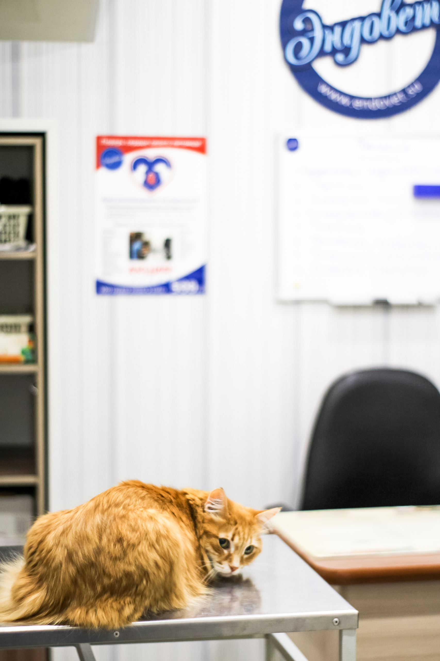 Визуал. Визуализатор | Контент-фотограф Хоршева Анастасия