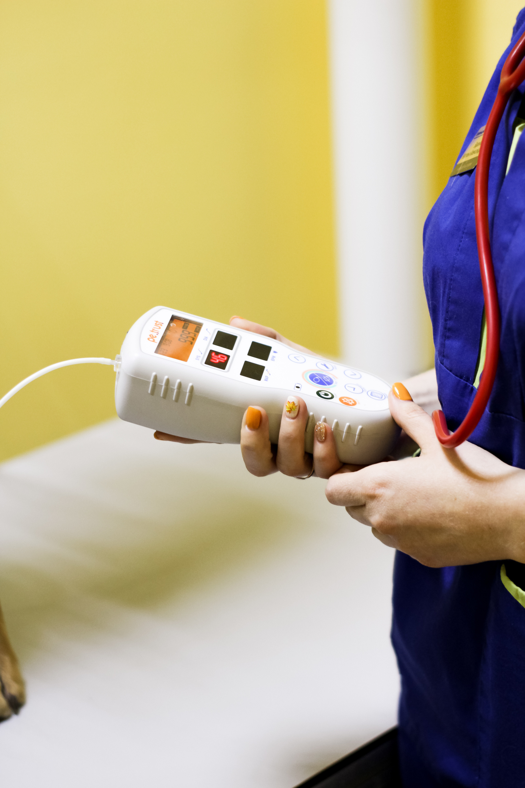 Визуал. Визуализатор | Контент-фотограф Хоршева Анастасия