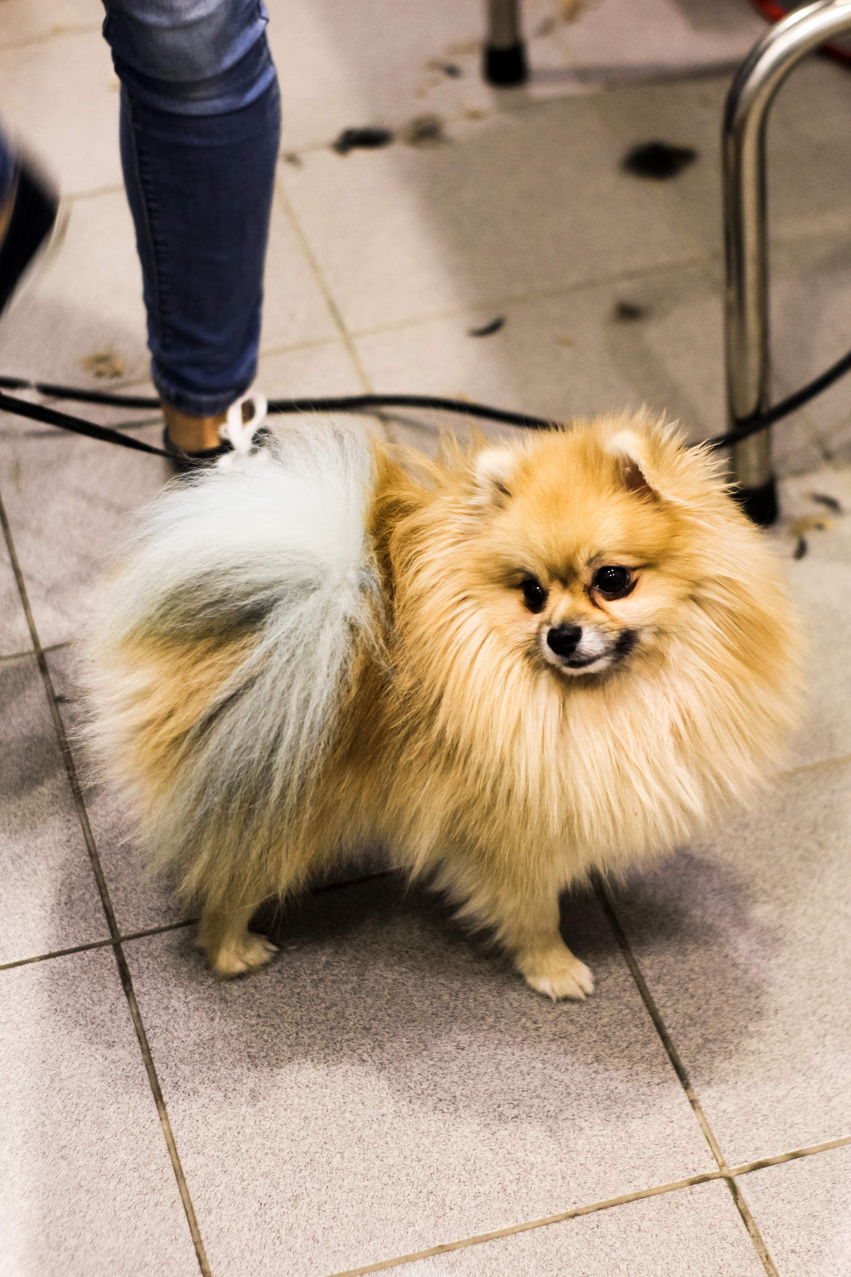 Визуал. Визуализатор | Контент-фотограф Хоршева Анастасия