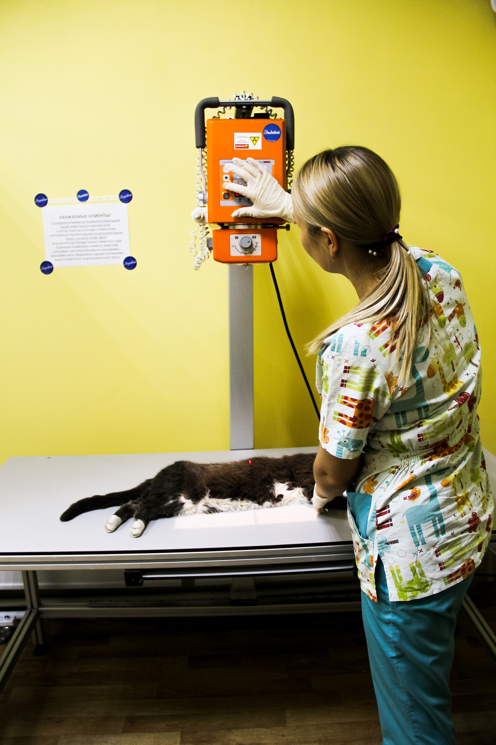 Визуал. Визуализатор | Контент-фотограф Хоршева Анастасия