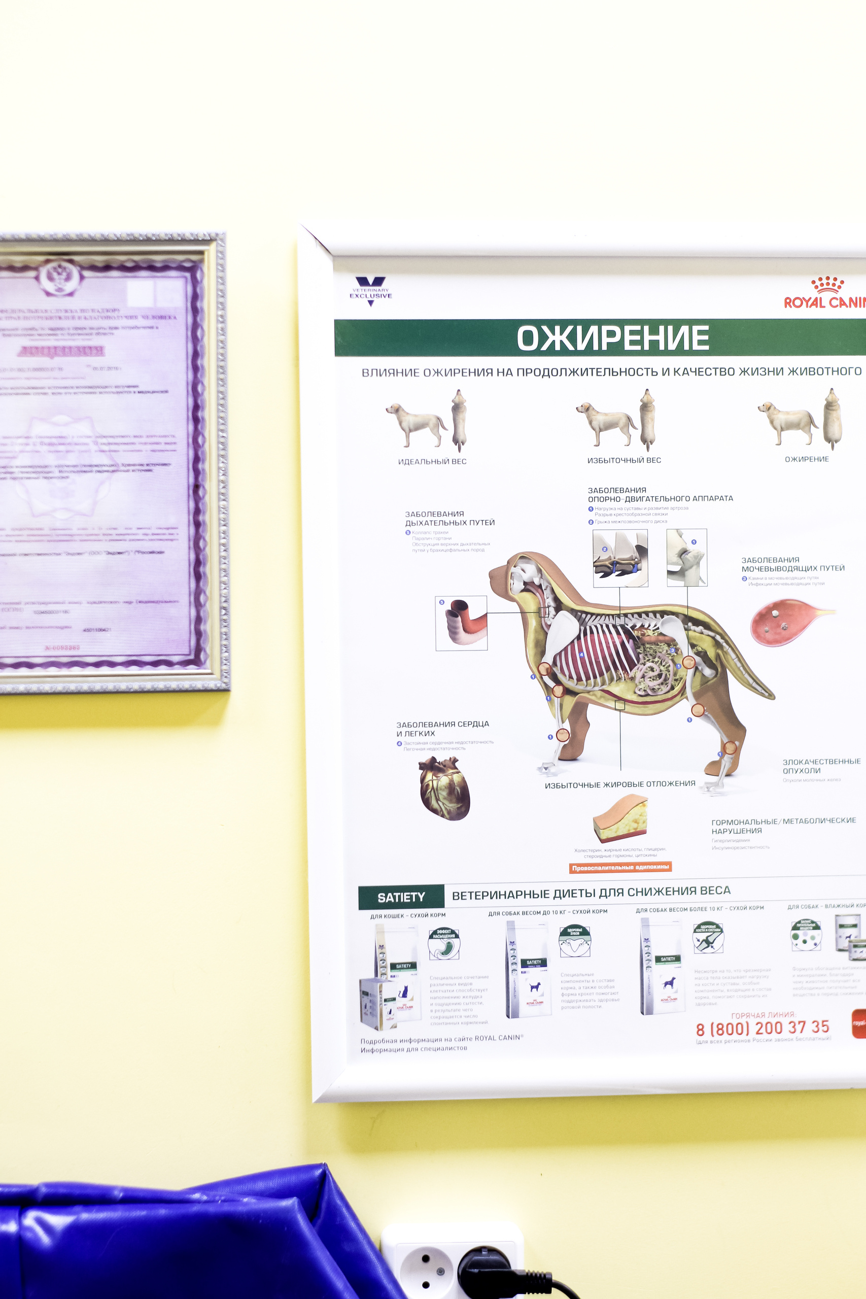 Визуал. Визуализатор | Контент-фотограф Хоршева Анастасия