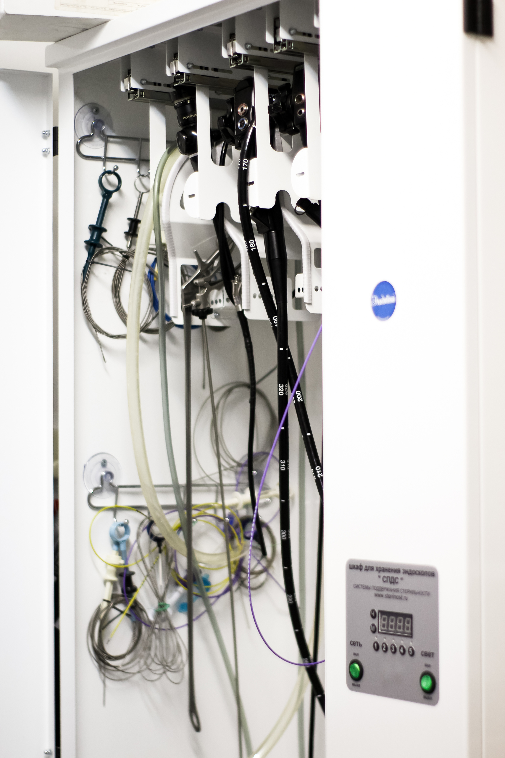 Визуал. Визуализатор | Контент-фотограф Хоршева Анастасия