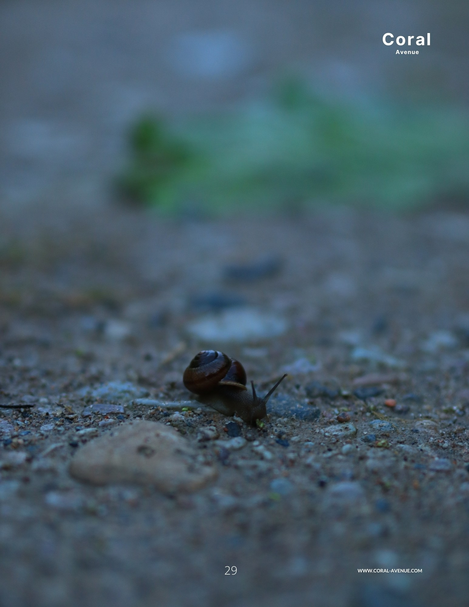 Мои работы в журналах. Фотограф в Санкт-Петербурге Анна Набоких