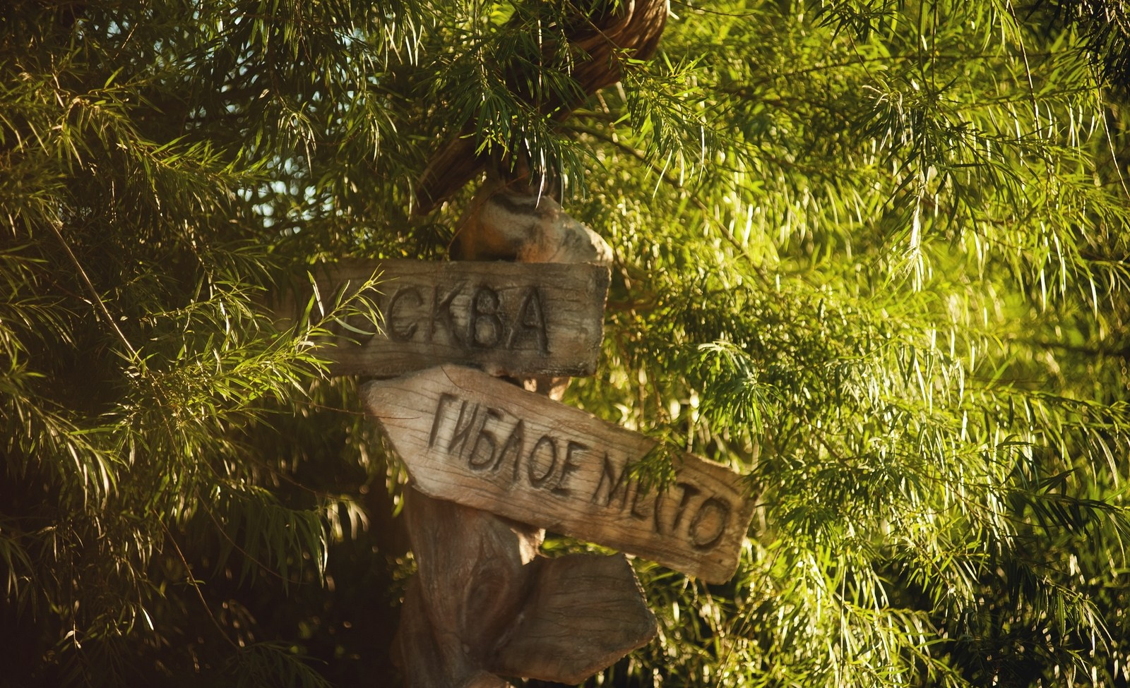 Музей Гадов