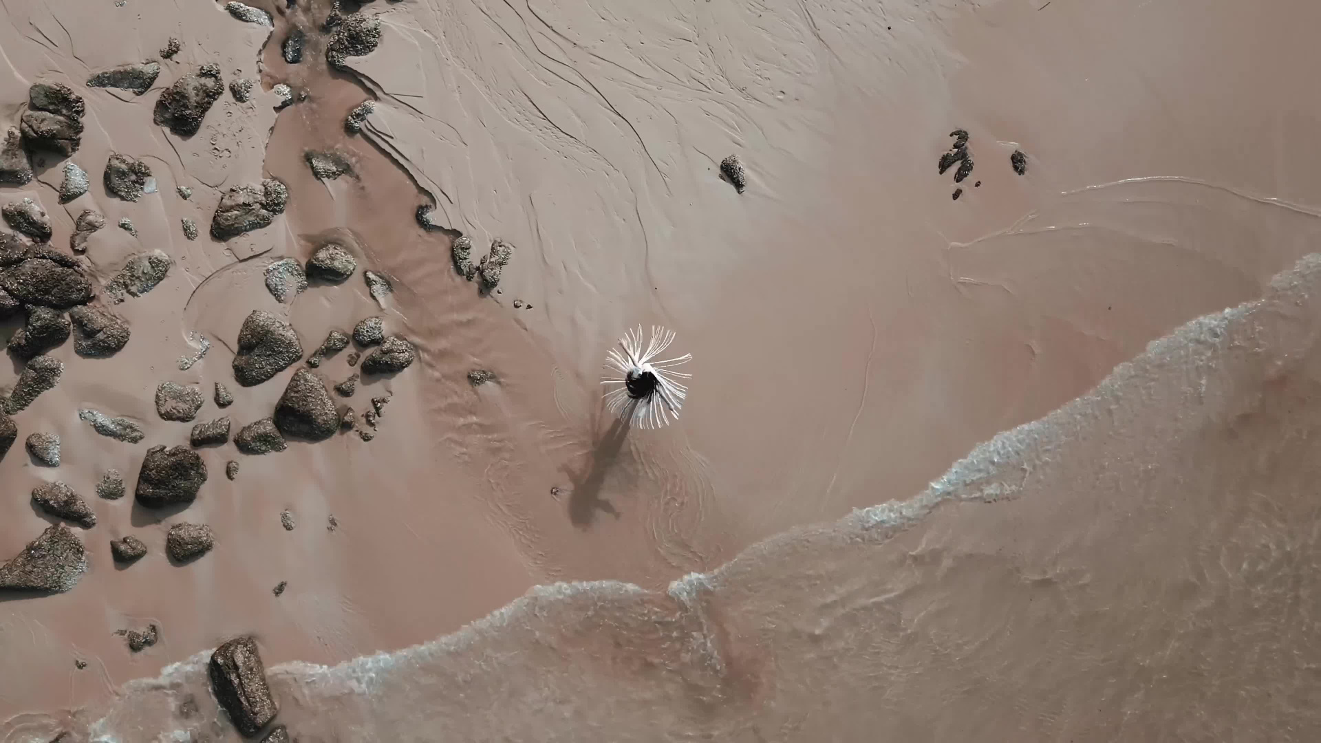 Video. Professional Wedding Photography, Portraits, and Studio Photoshoots in Phuket