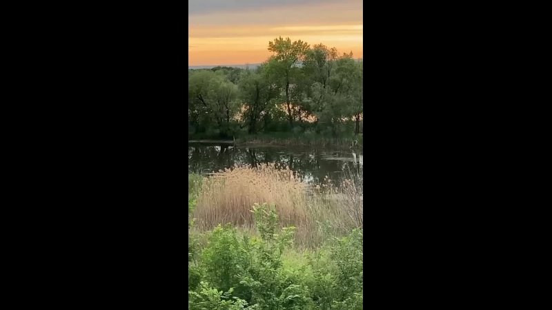 Лето началось так…. Фотограф Кравченко Юлия. Энгельс