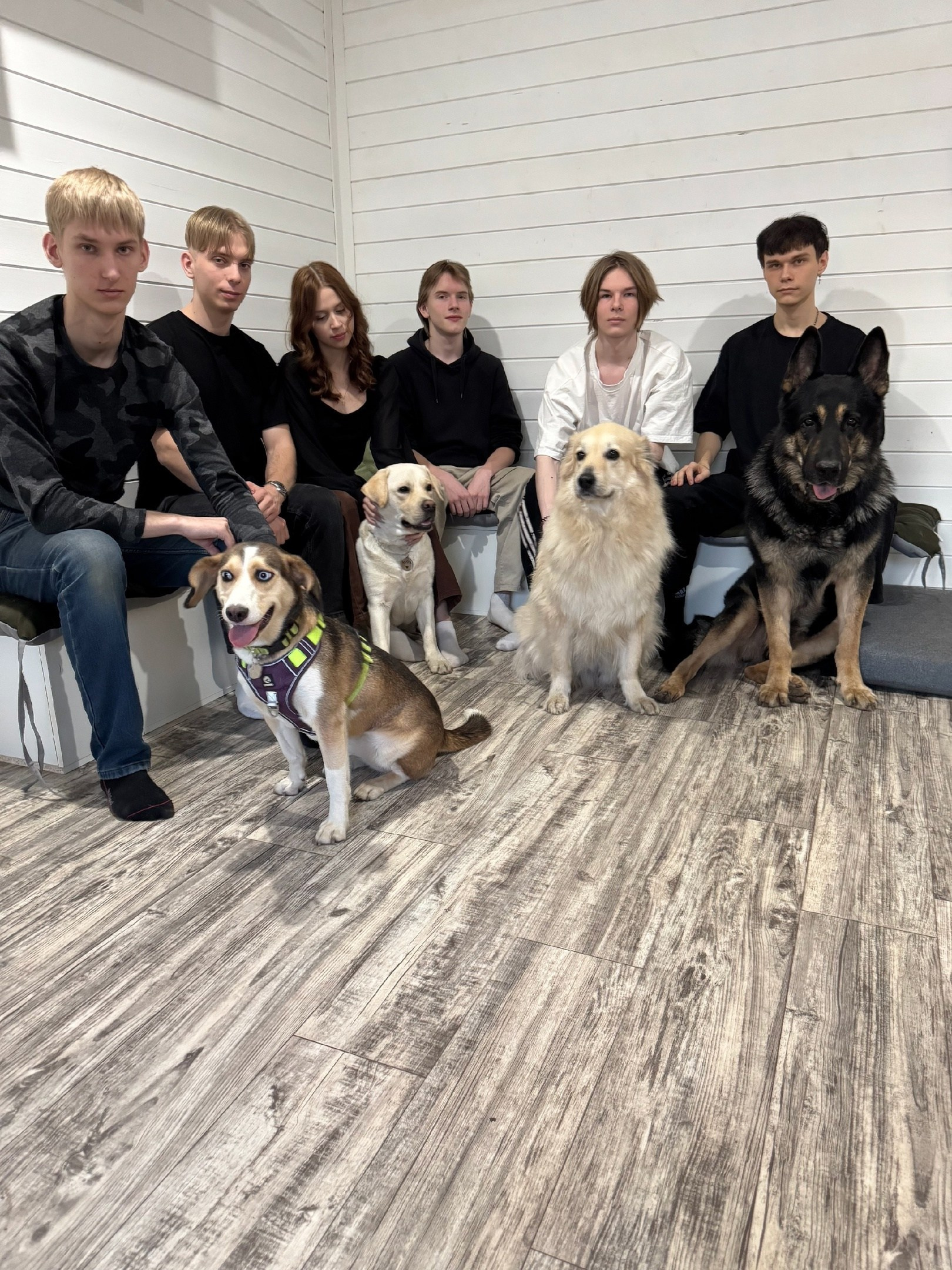 Лекции в рамках Проекта «Подготовка допризывной молодежи военно-учетным кинологическим специальностям». НРОО КЦ "Собаковод"