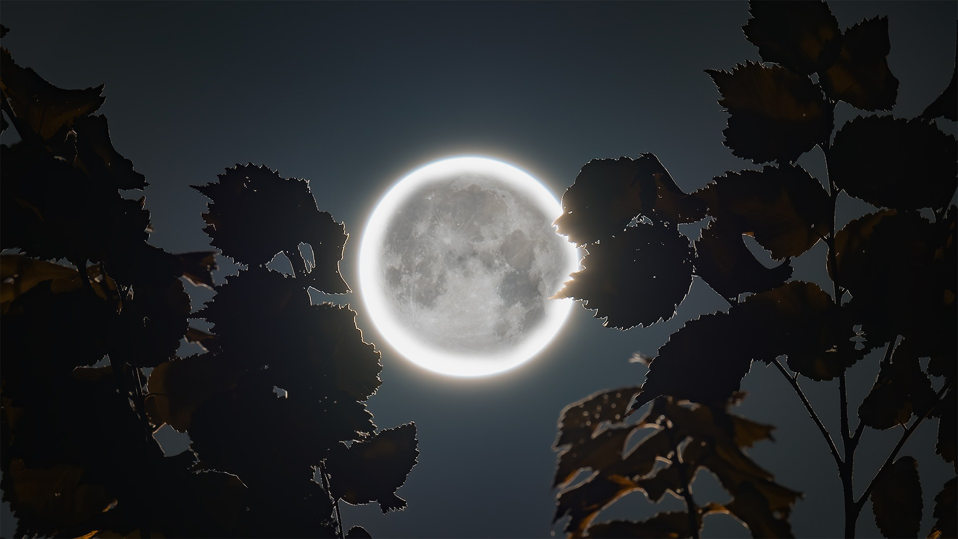 Продажа фотографий. Интерьерный фотограф Алматы