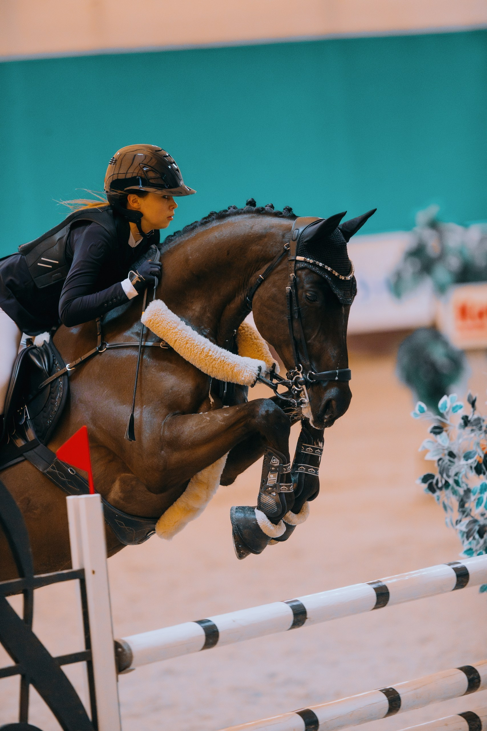 Отзывы. Фотограф-анималист Ксендзова Кристина